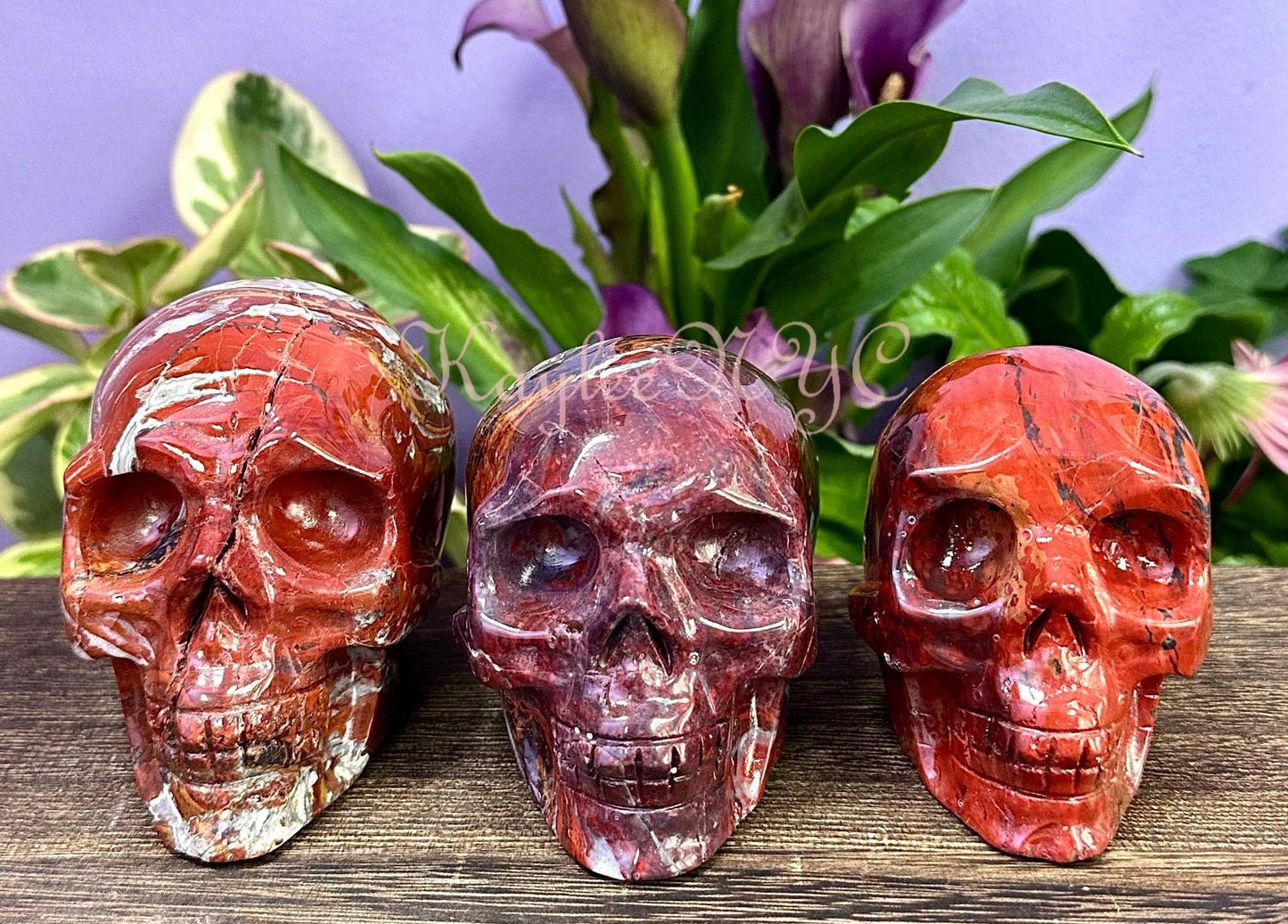 Wholesale lot 3 Pcs Natural Red Agate Crystal Skull