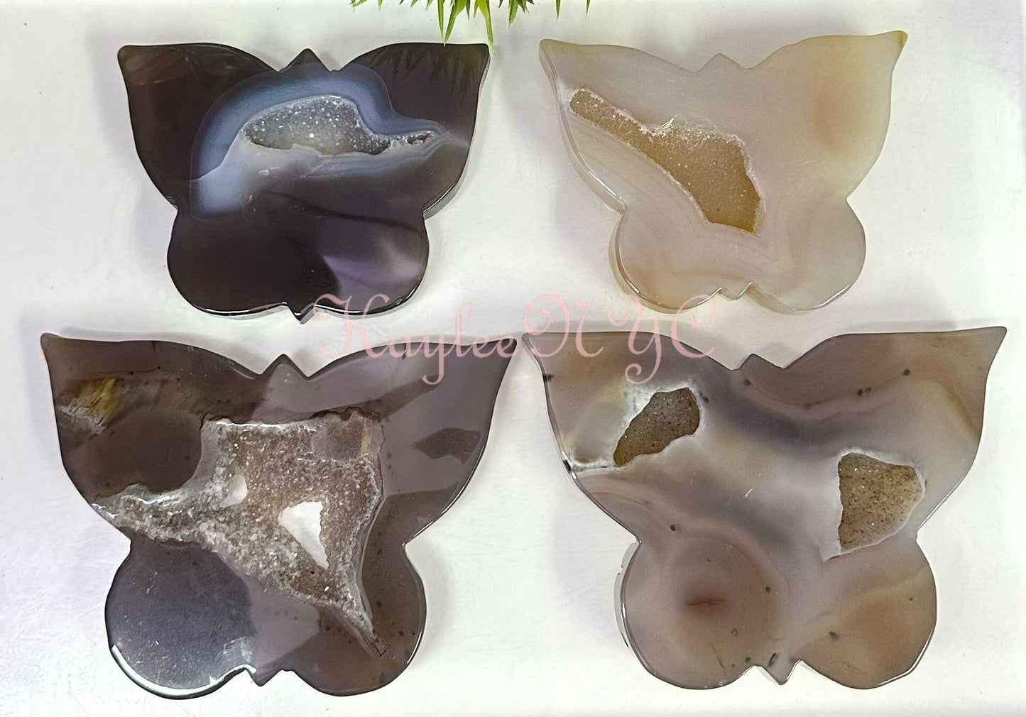 Wholesale Lot 4-5 Pcs Natural Druzy Agate Butterfly Crystal healing energy