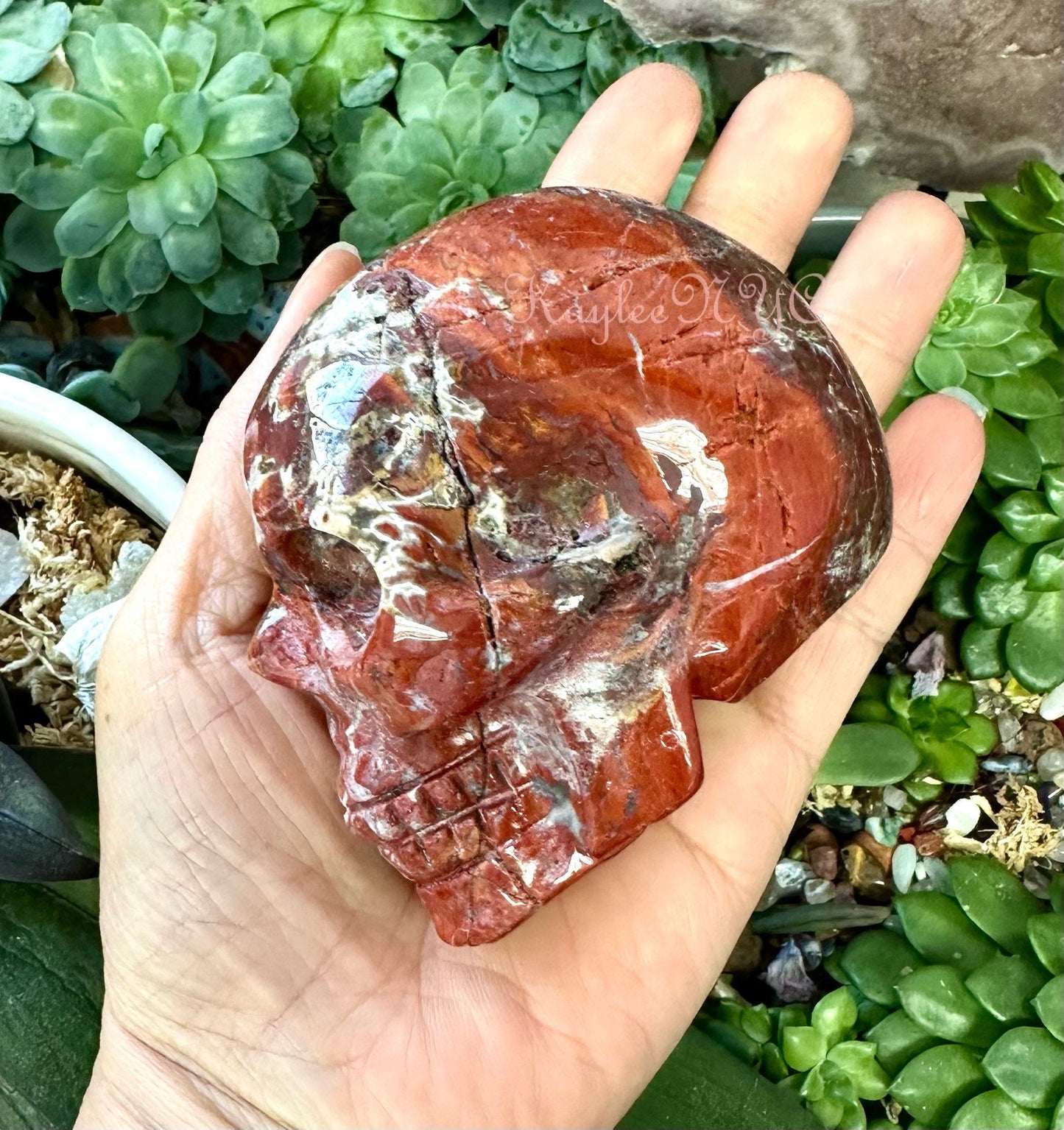 Wholesale lot 3 Pcs Natural Red Agate Crystal Skull