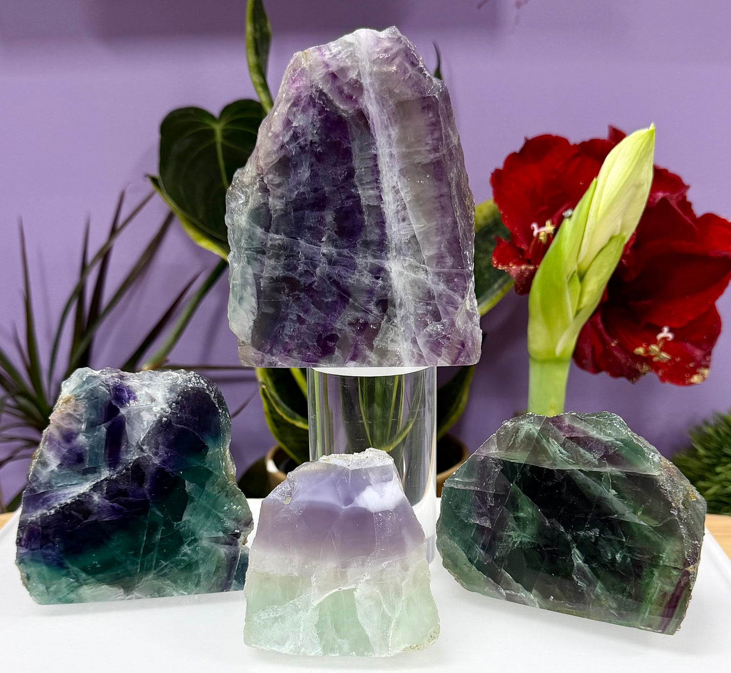 3-4 PCs Natural Rainbow Fluorite semi polished Slabs