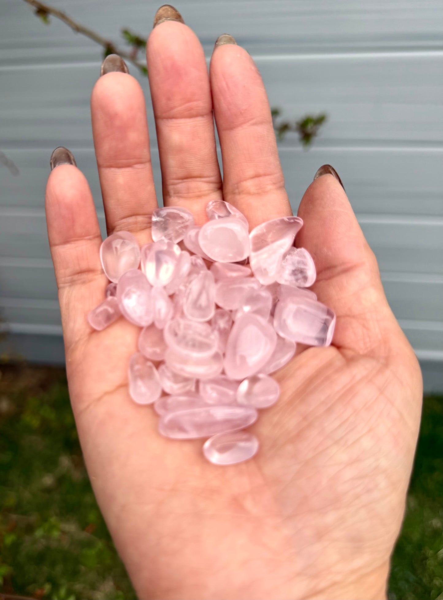 2 lbs Natural Mini Rose Quartz Tumble Crystal Healing Energy