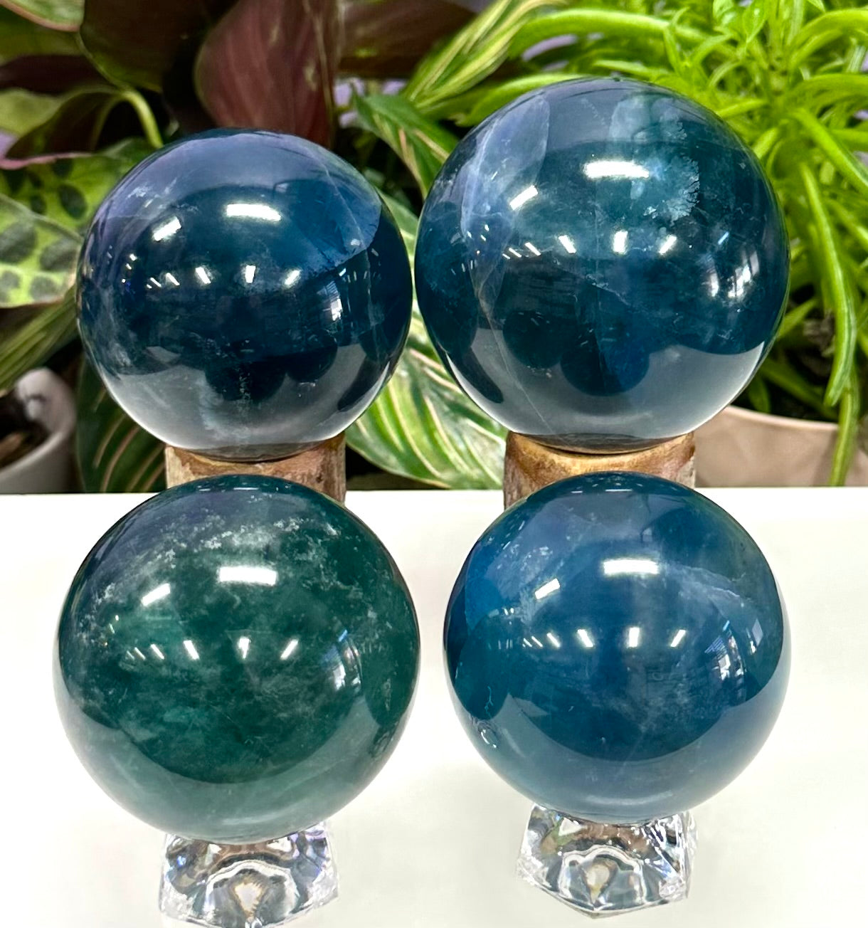 Wholesale Lot 4 to 5 Pcs Natural Blue Fluorite Sphere Crystal Ball 4.8 to 5 lbs  Healing Energy