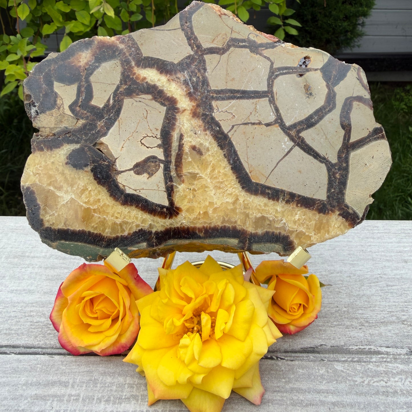 Wholesale Lot 2 lbs Natural Septarian Slabs Crystal Healing Energy