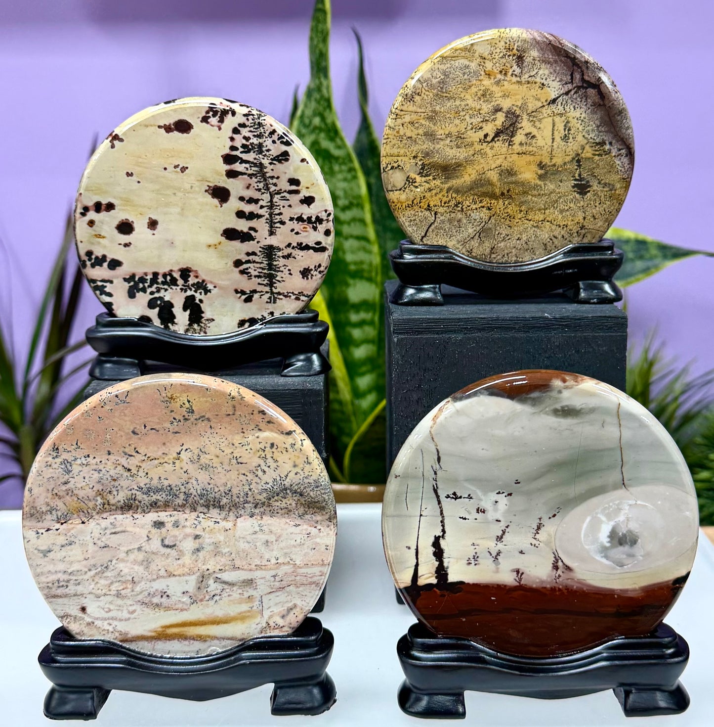4PCs Natural Picture Jasper  polished Slabs with stand