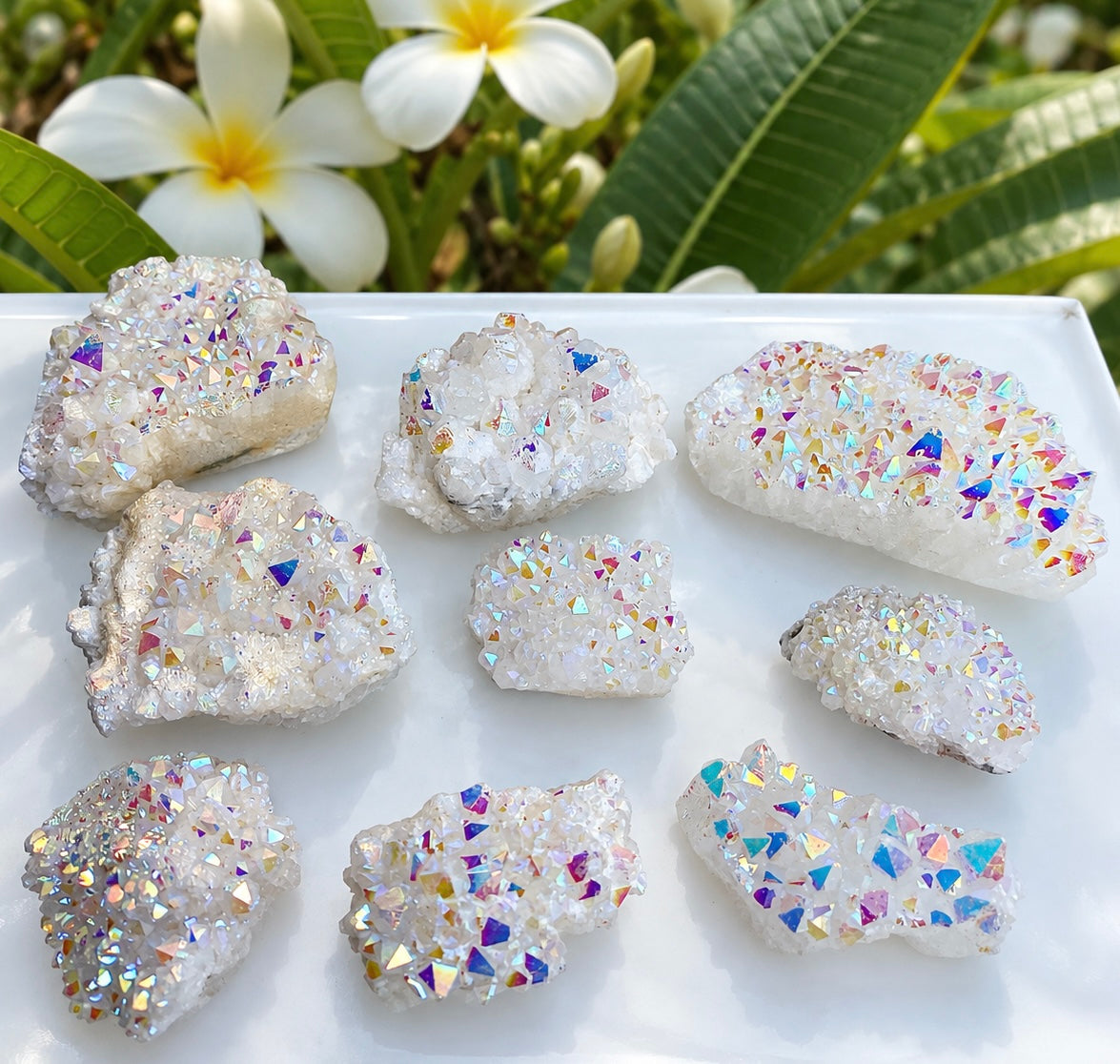 Wholesale Lot 2 Lbs Angel Aura Quartz Cluster Crystal Raw Nice Quality