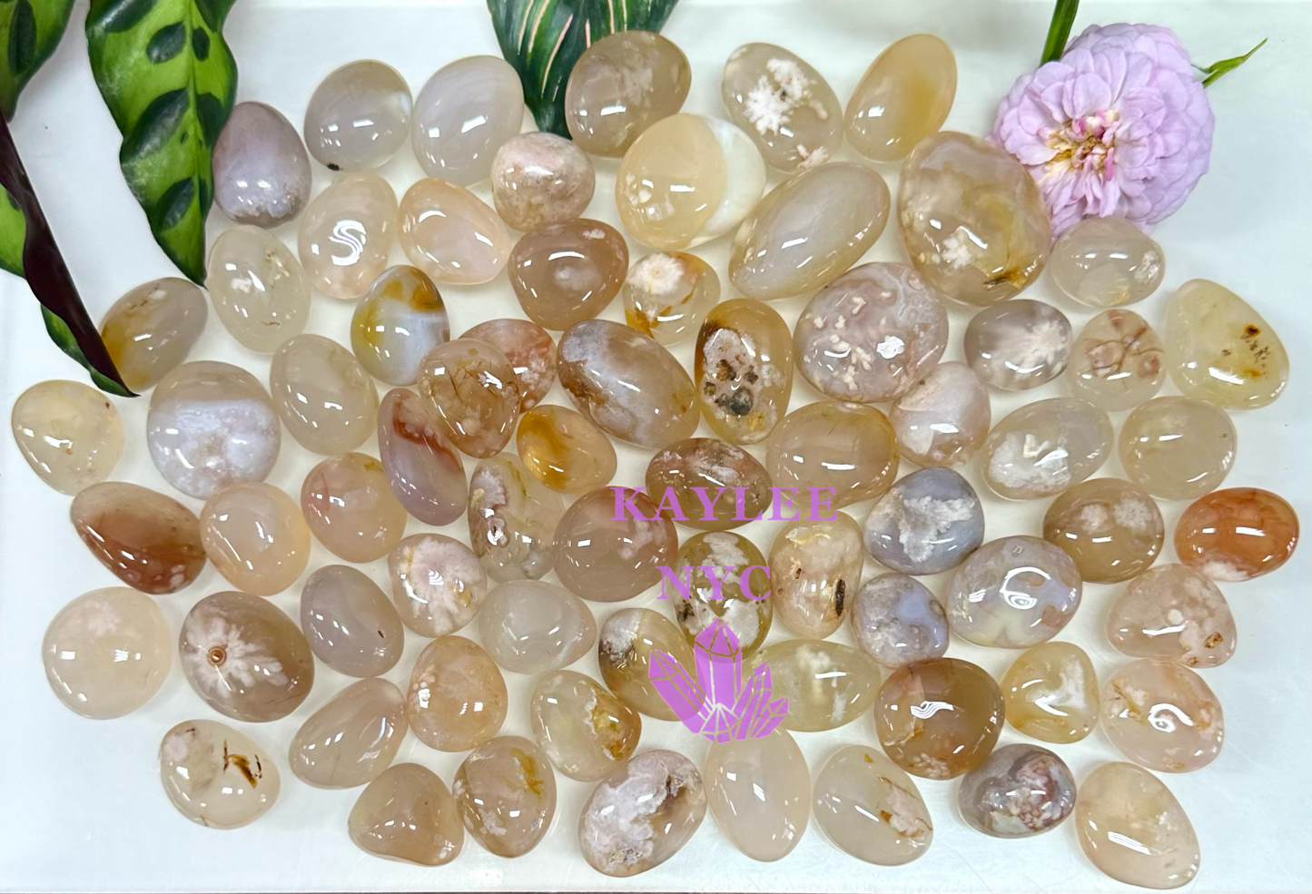 Wholesale Lot 2 Lbs Natural Flower Agate Tumble Healing Energy Nice Quality