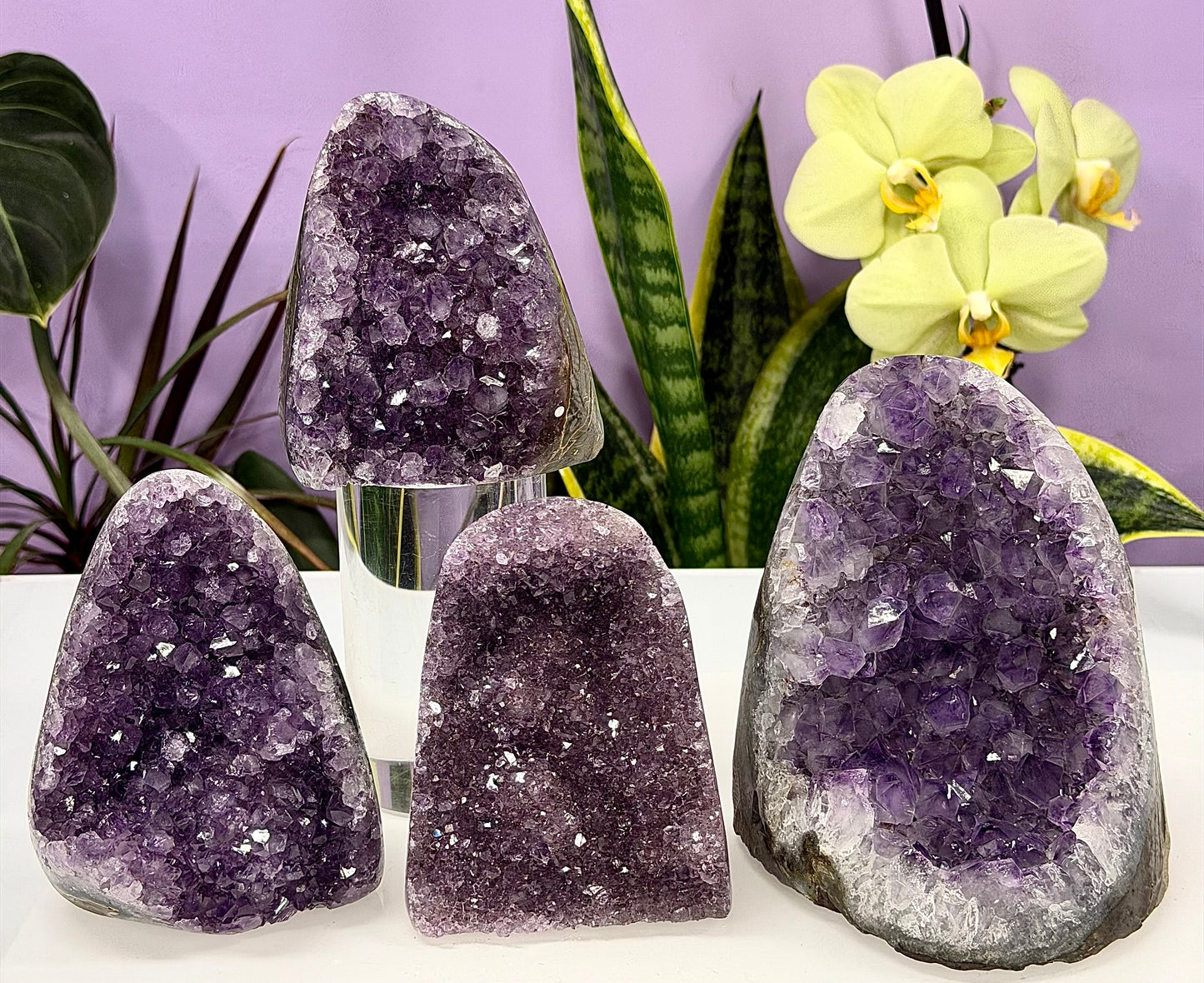 Wholesale Lot 4-5 pcs NaturalAmethyst cut base 4.8-5lbs Healing Energy