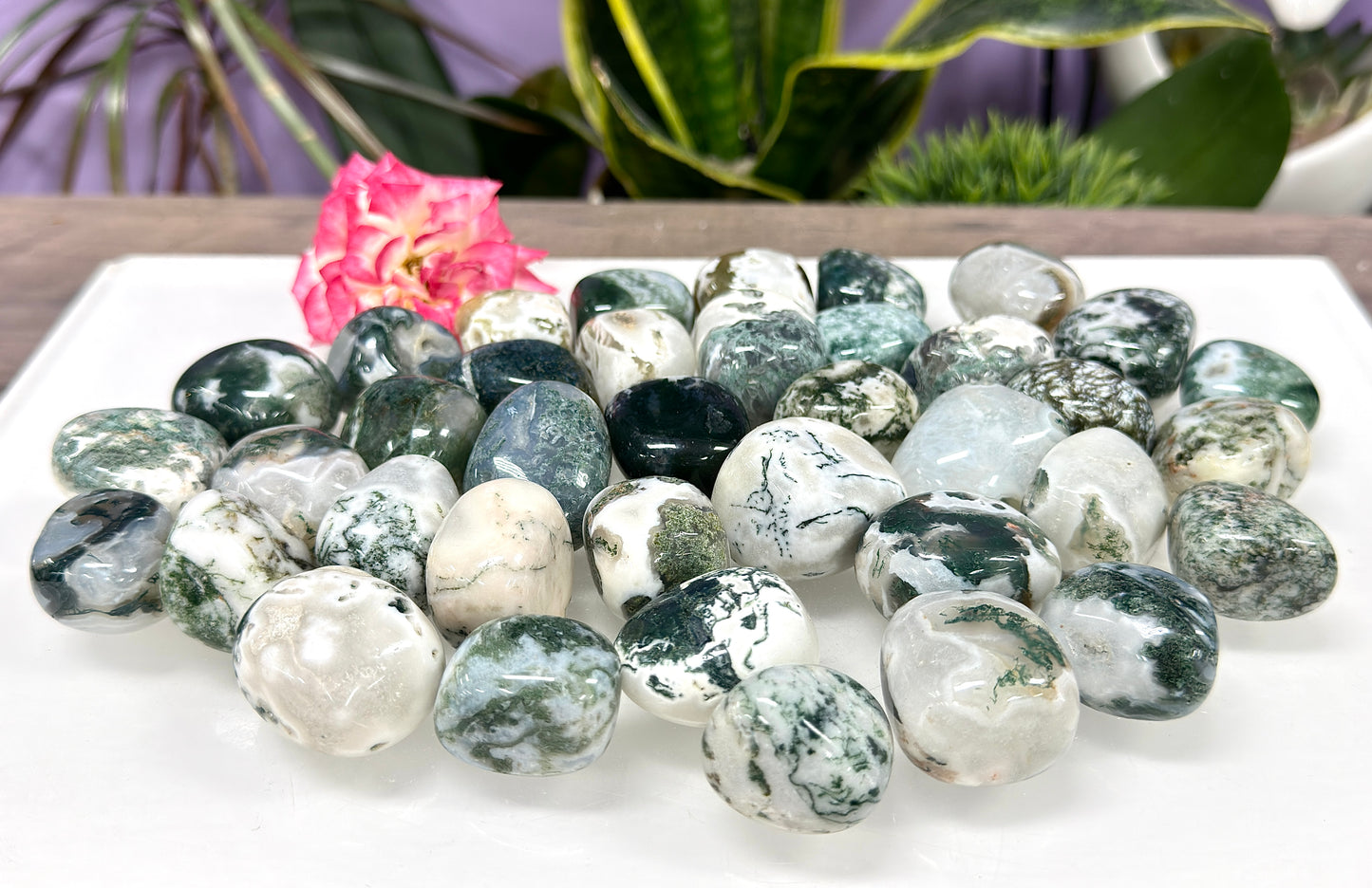 Wholesale Lot 2 lbs Natural Moss Agate Tumble Crystal Healing Energy