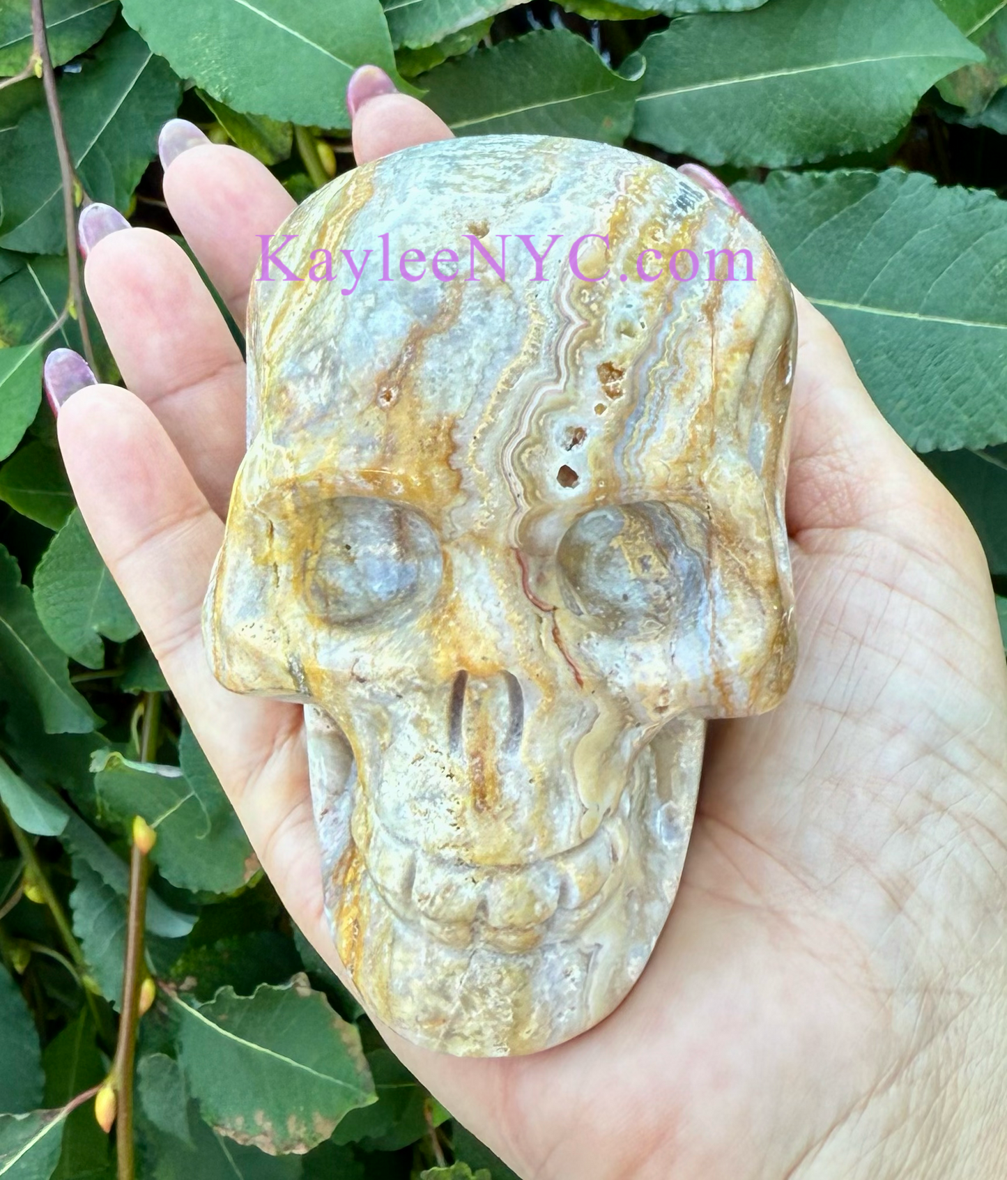 Wholesale lot 3 Pcs Natural Crazy Lace Agate Crystal Skull