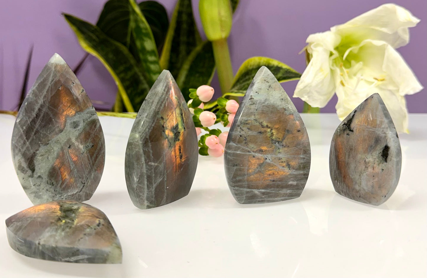 2 lbs Natural Sunset Labradorite Freeform Crystal Wholesale