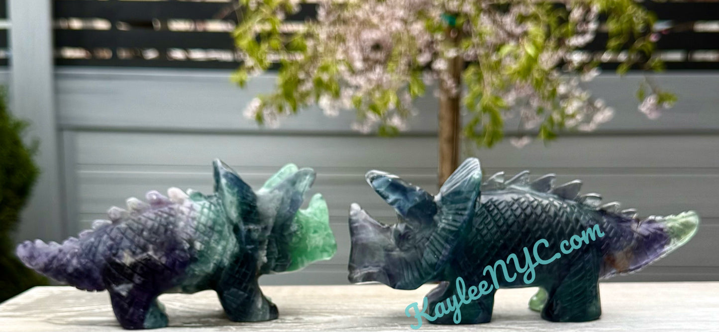 2 PCs Natural Fluorite Triceratops Dinosaur Crystals Healing Energy
