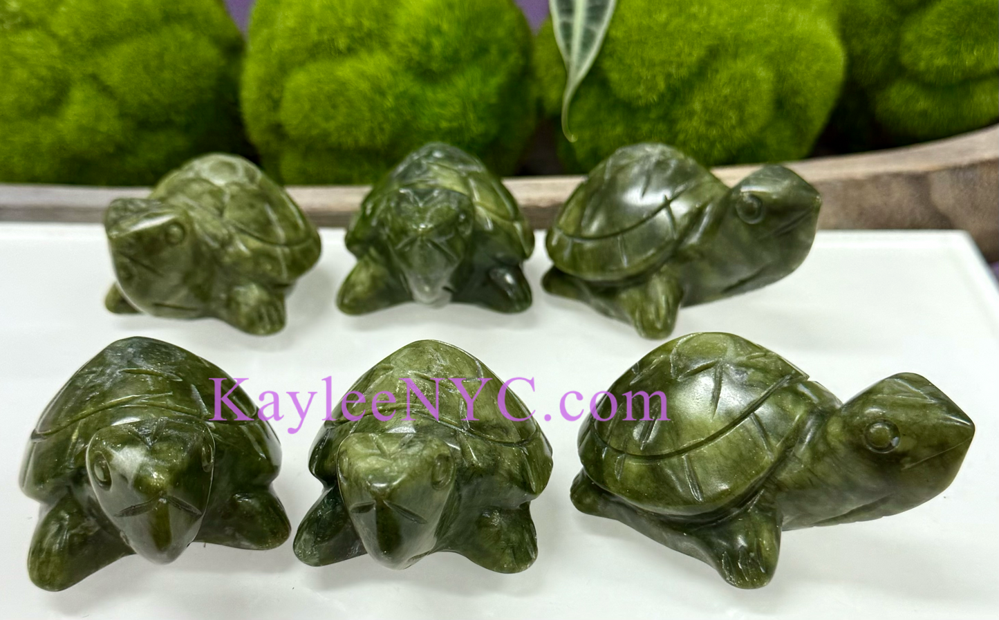 6 PCs Natural Nephrite Jade Turtle healing energy