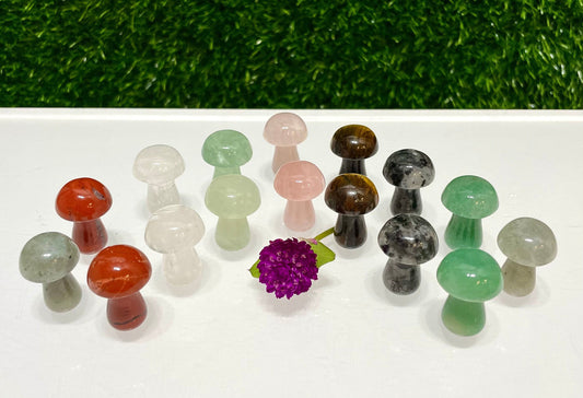 Wholesale Lot 16 PCs Mixed 1” Crystal Mushroom Healing Energy