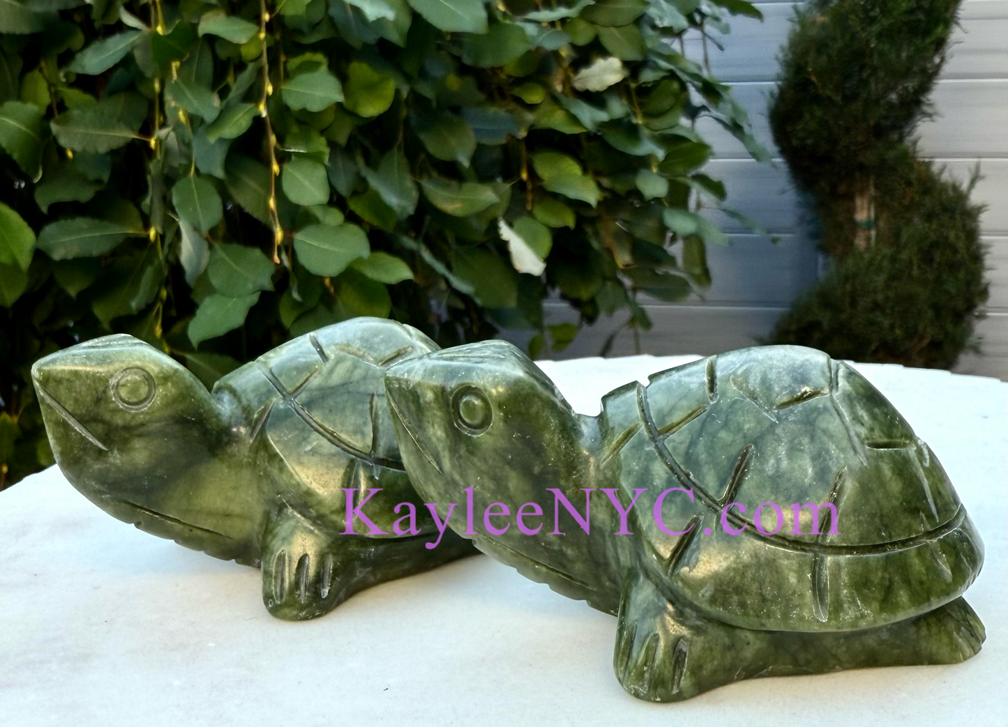 6 PCs Natural Nephrite Jade Turtle healing energy