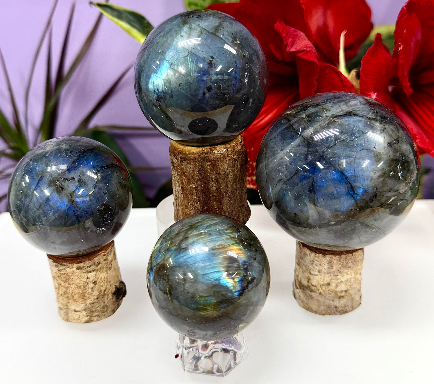 Wholesale Lot 3-4 pcs  Natural Labradorite Sphere Crystal Ball healing energy