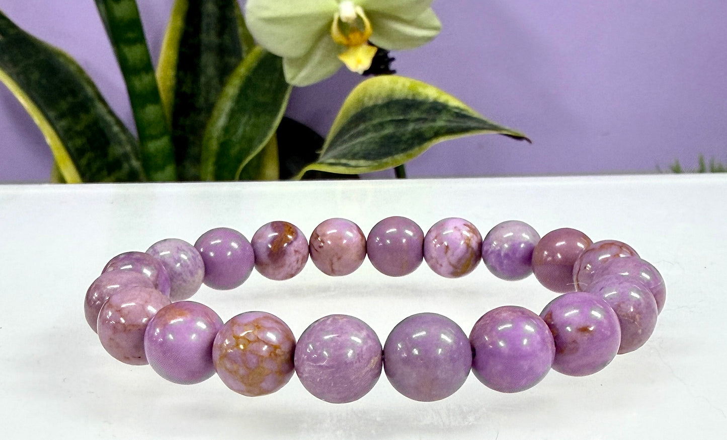 6 PCs Natural Phosphosiderite 10mm 7.5” Stretch Bracelet