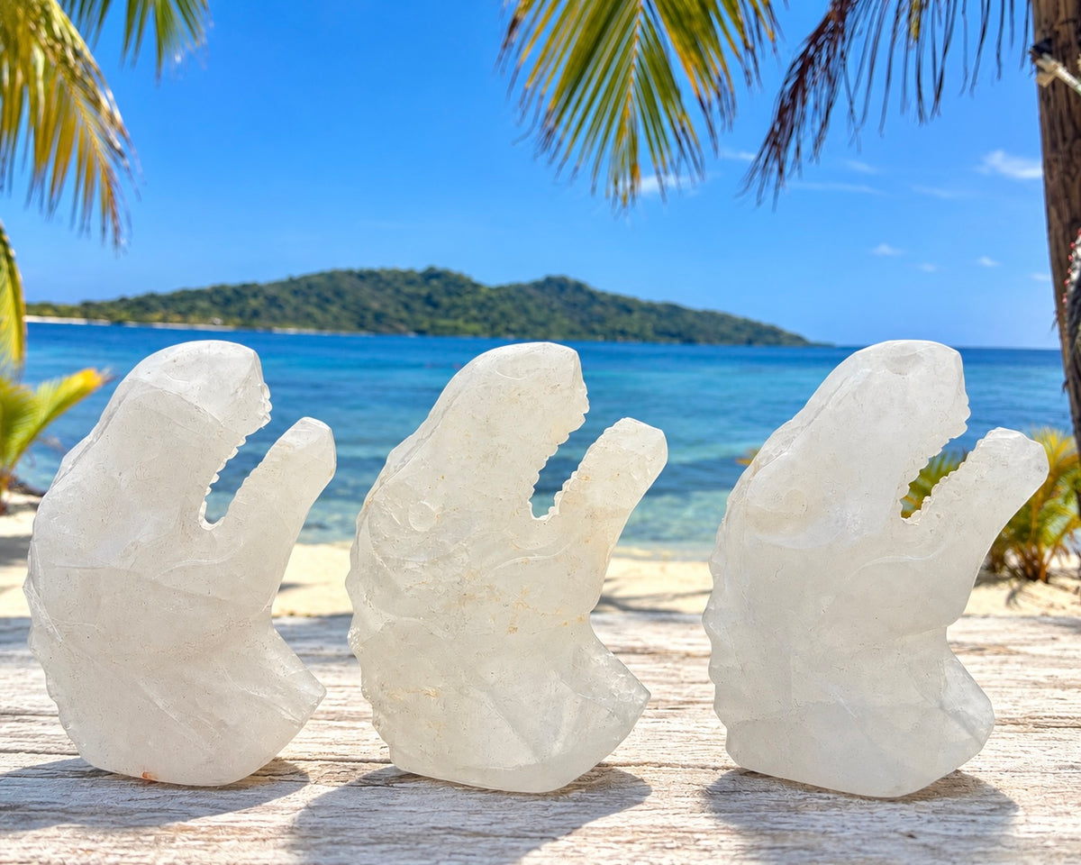 3 PCs Natural Clear Quartz Dinosaur Crystal Healing Energy