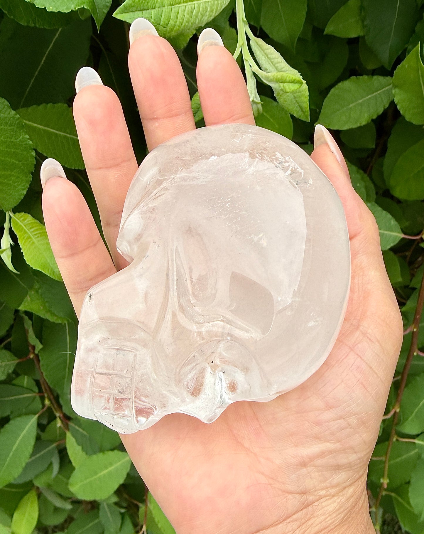 Wholesale lot 4-6 Pcs Clear Quartz Skull Bowl Natural Crystal healing energy