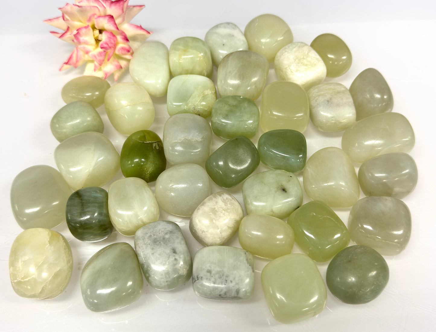 Wholesale Lot – 2 lbs Natural Jade Tumbled Crystals – Nice Quality