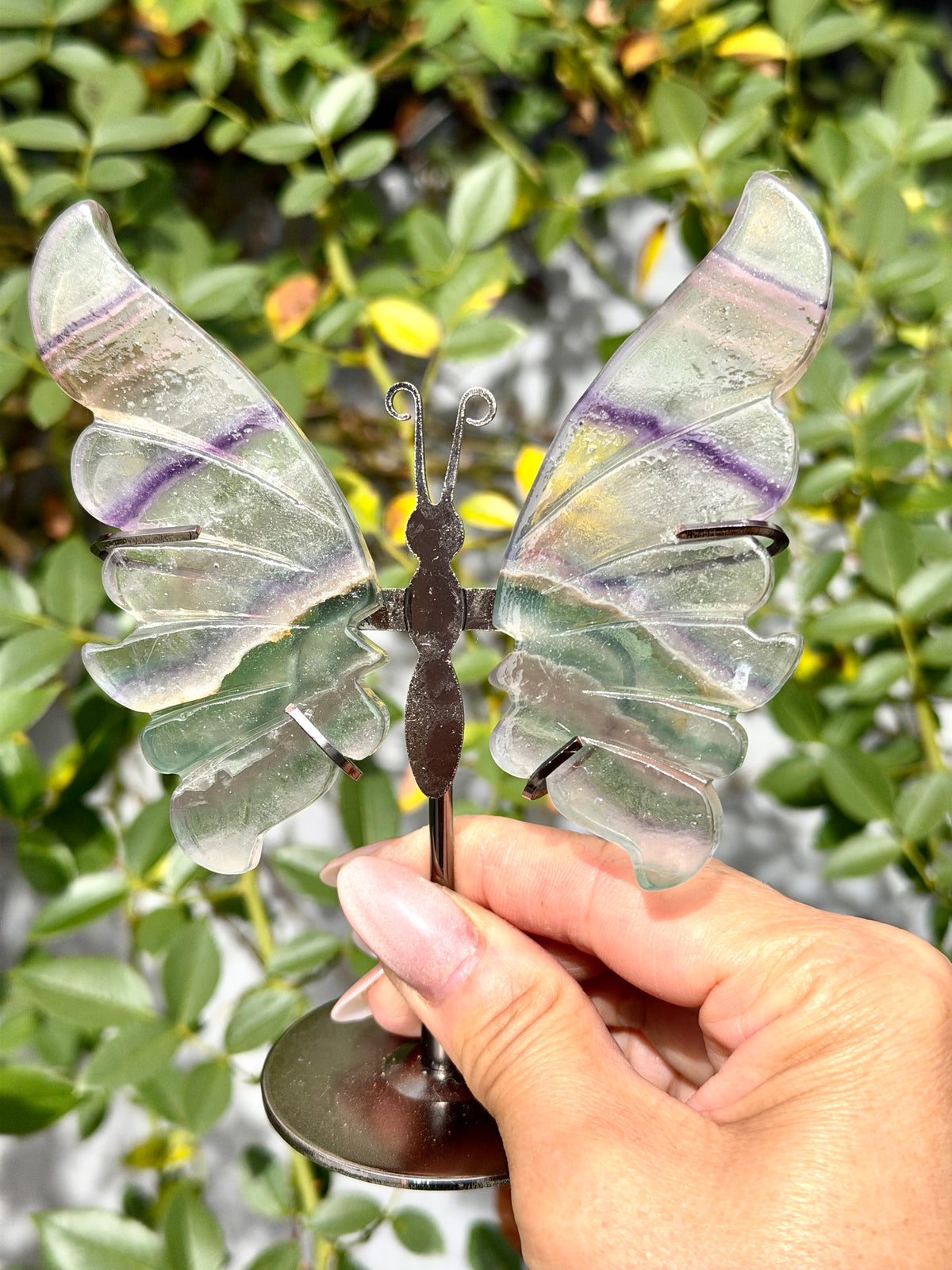 Wholesale Lot 4 PCs Natural Fluorite Crystal Butterfly w/stand Healing Energy