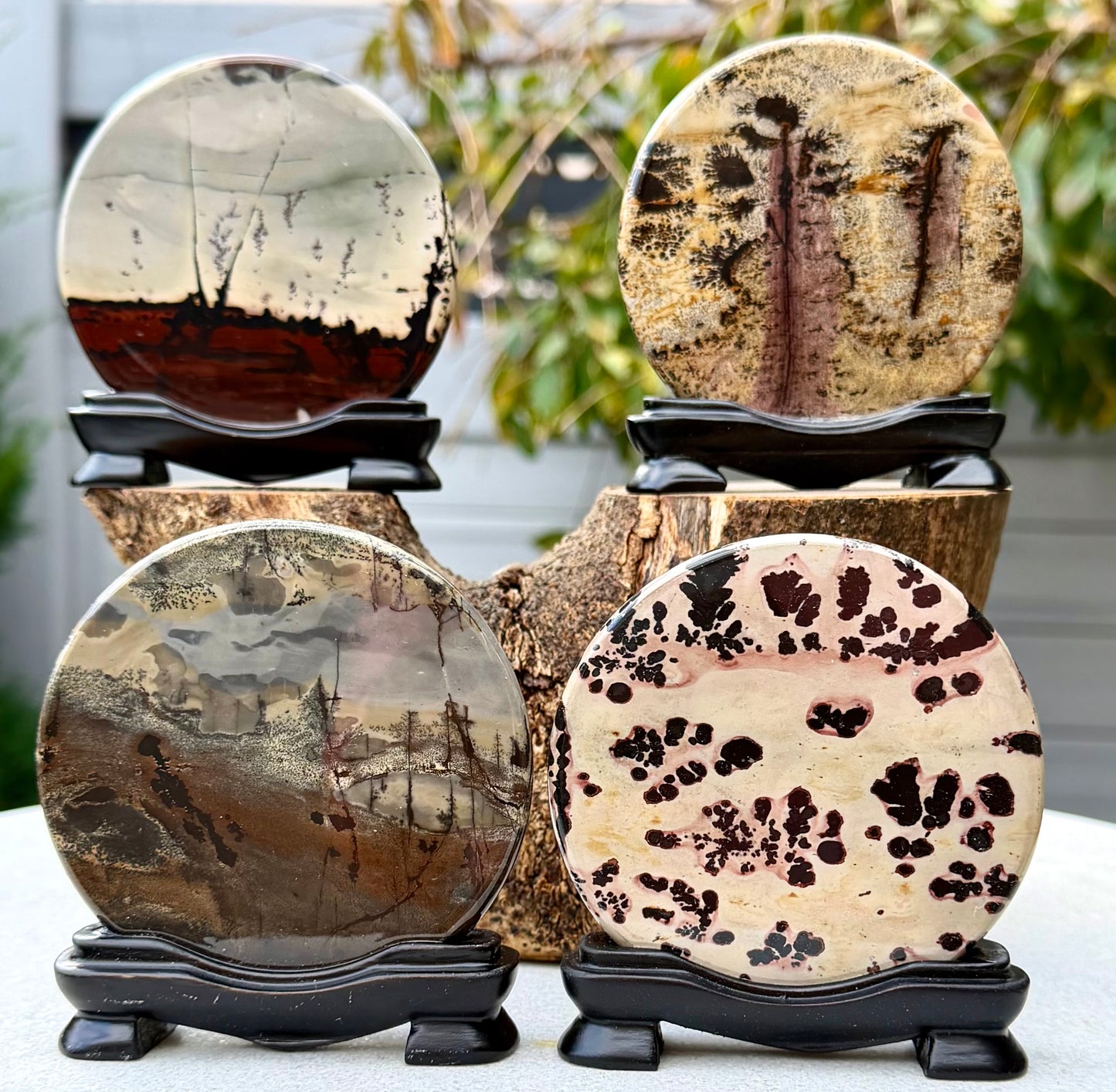 4PCs Natural Picture Jasper  polished Slabs with stand