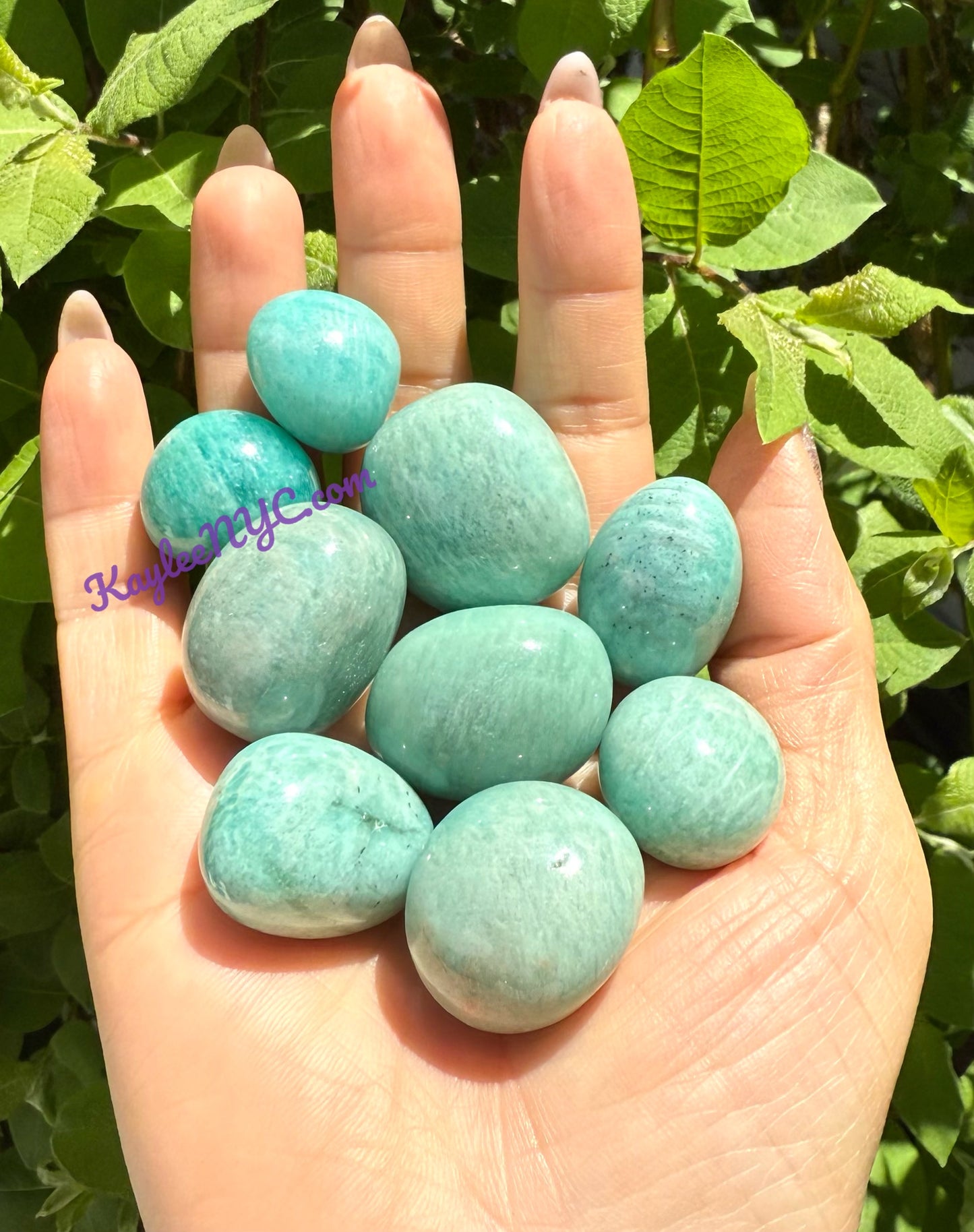Wholesale Lot 2 Lbs Natural Amazonite Tumble Healing Energy