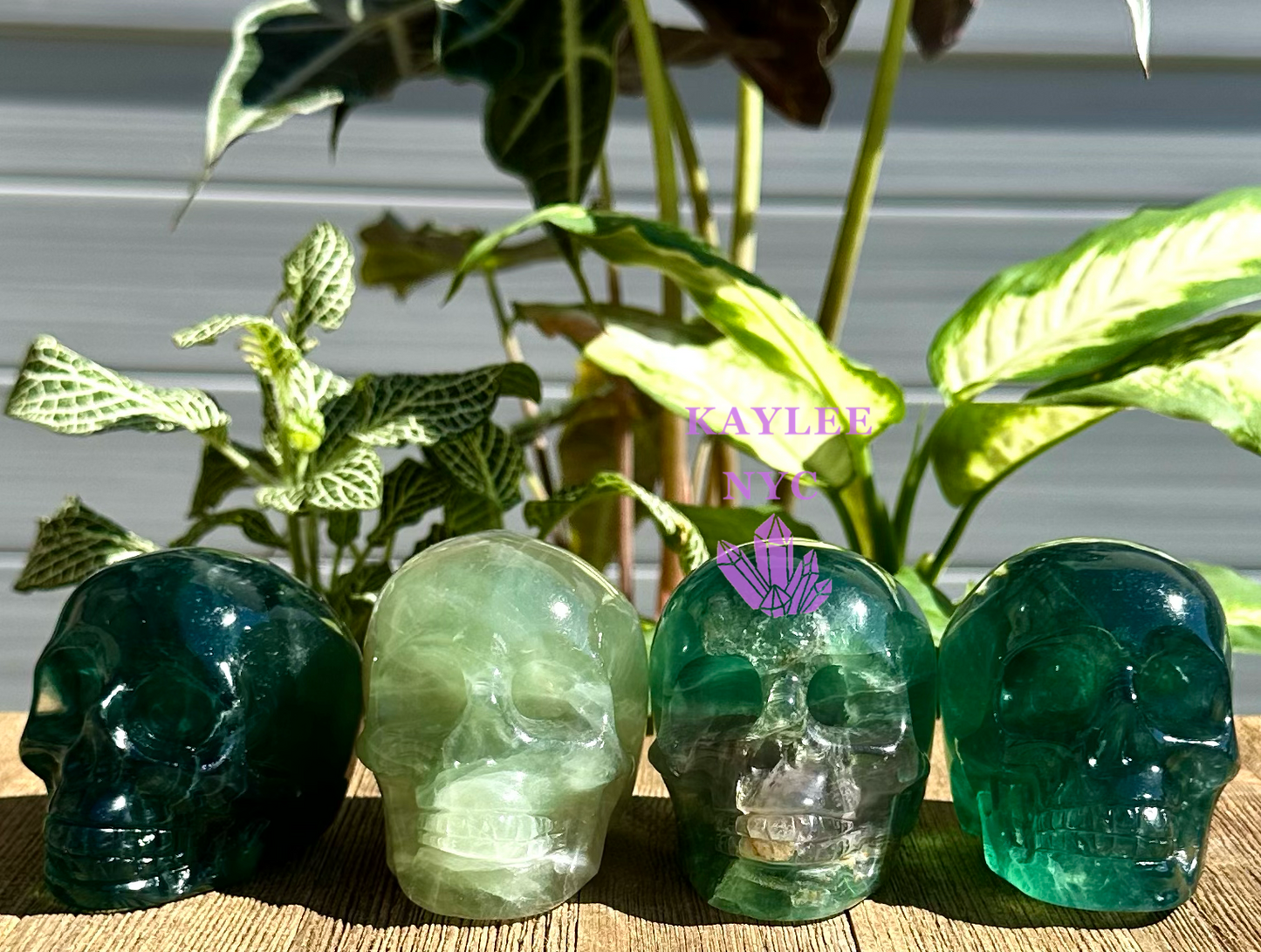 4 PCs Natural Fluorite Crystal Skull