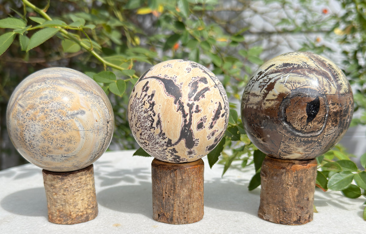 Wholesale Lot 3 Pcs Natural Picture Jasper Sphere Crystal Healing