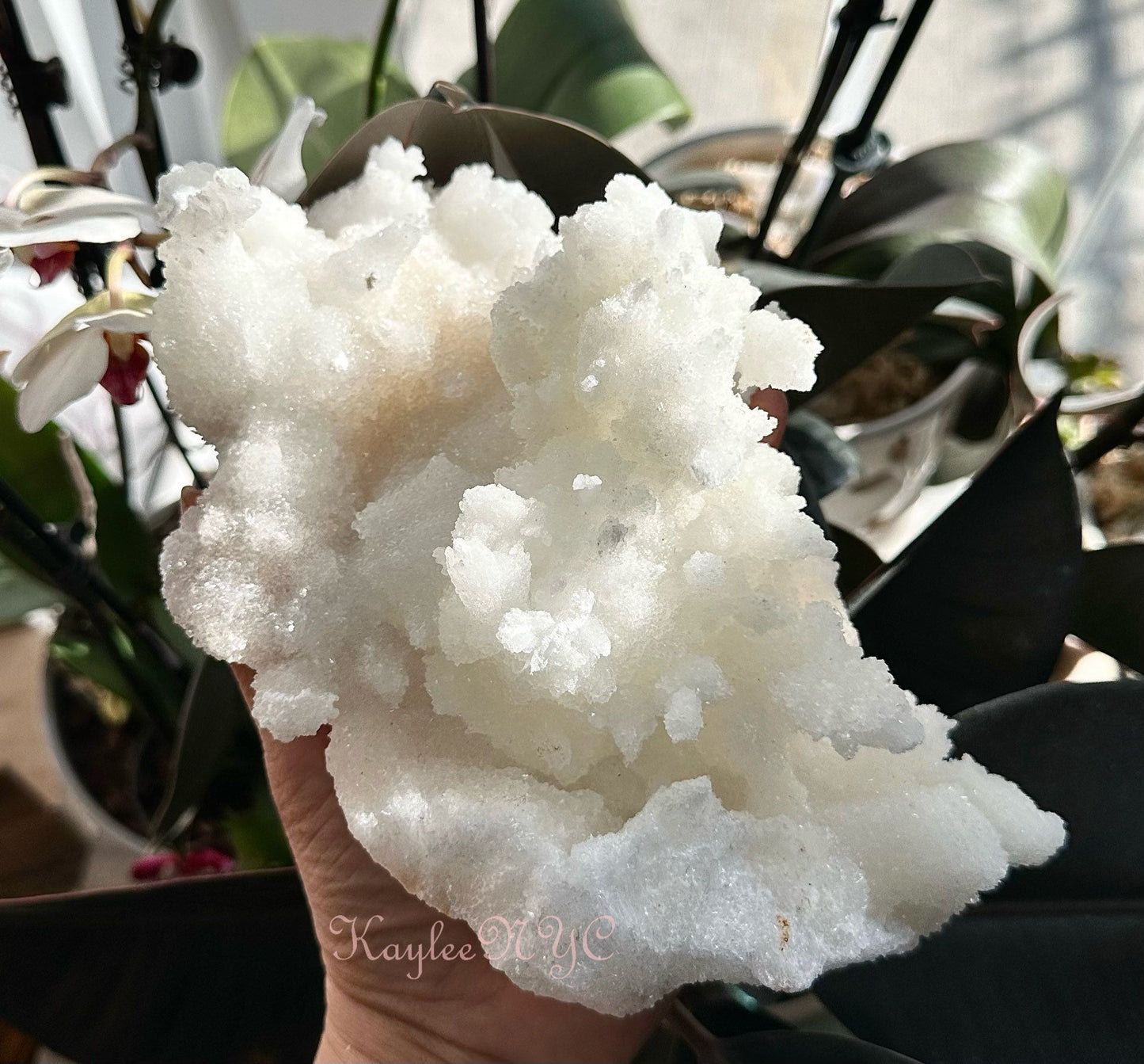 Wholesale Lot 3-4 PCs Natural White Aragonite Cluster Raw Crystal