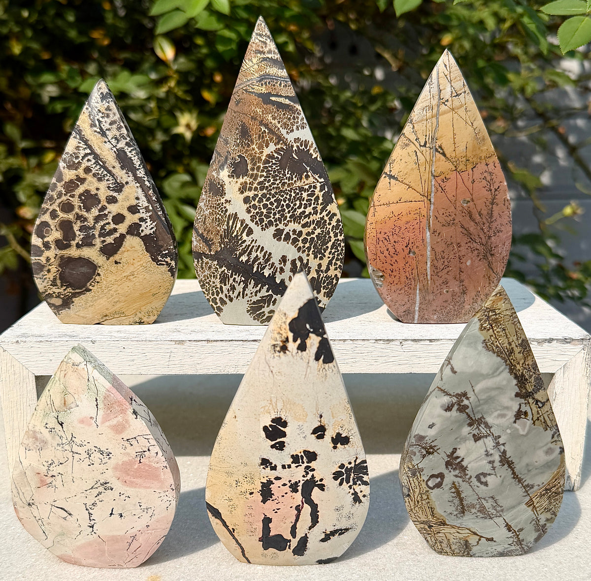 6PCs Natural Picture Jasper Freeform Crystal Healing