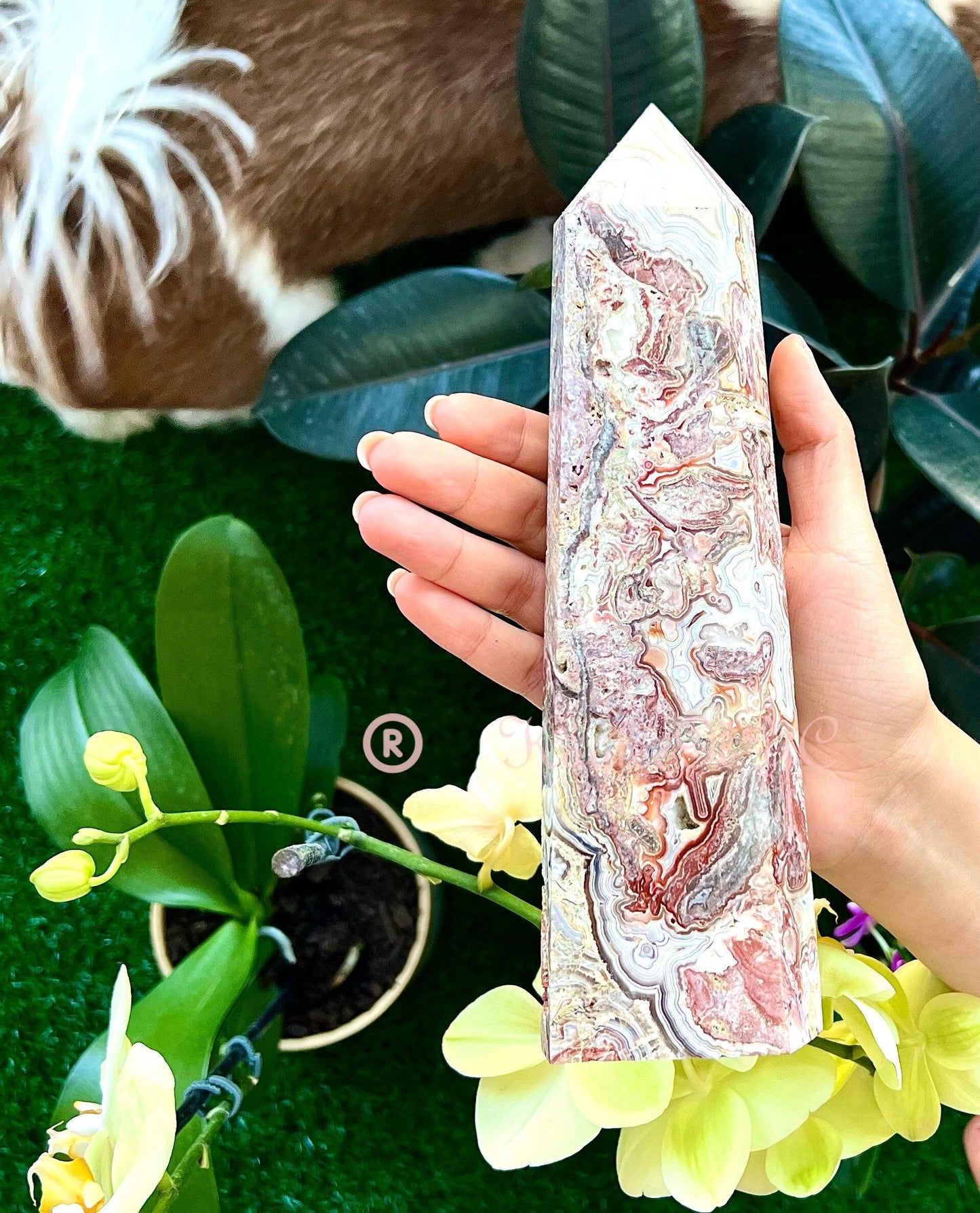 Wholesale Lot 3-4 PCs large Natural Mexican Red Crazy Lace Agate Obelisk Tower Point Crystal Healing