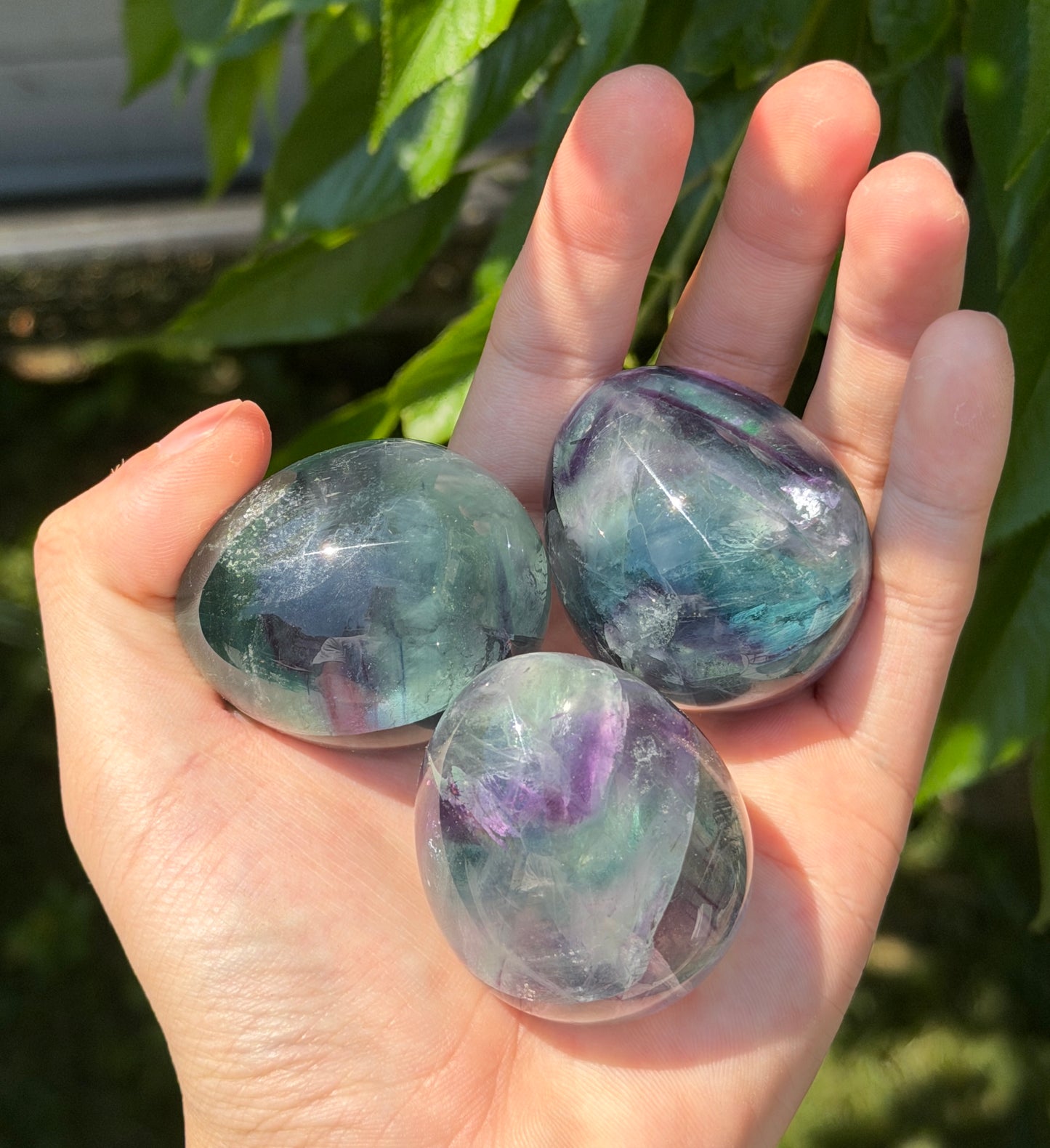 Wholesale Lot 8 pcs Natural Fluorite Egg crystals Healing Enery