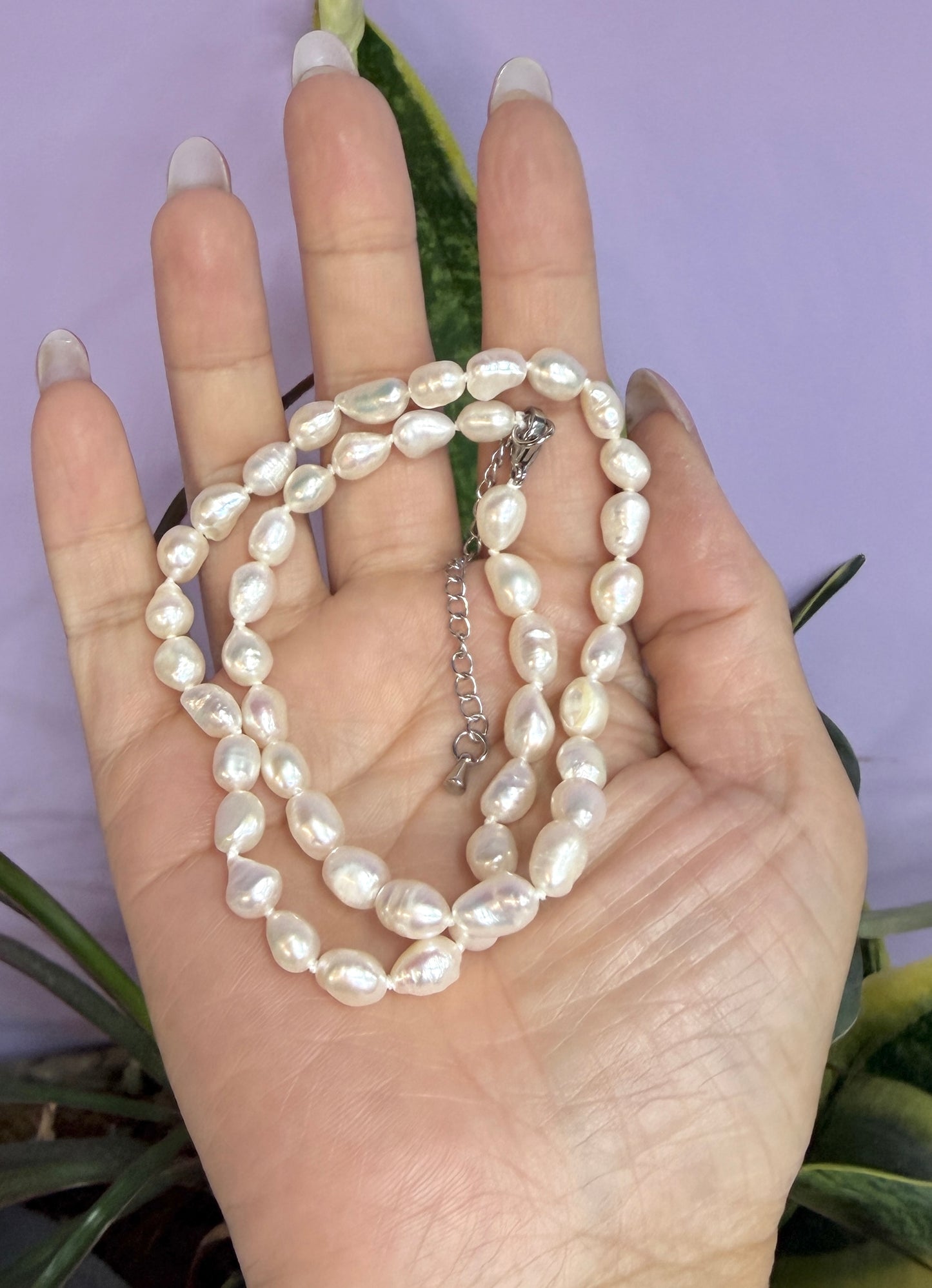 6 PCs 6 pcs ~6.5mm Natural Freshwater Pearl Necklace Healing Energy