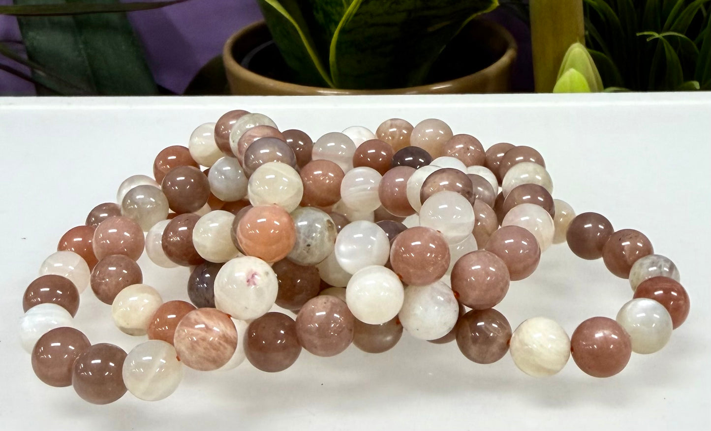 Wholesale Lot 6 Pcs Natural Mix Moonstone 10mm 8” Stretch Bracelet