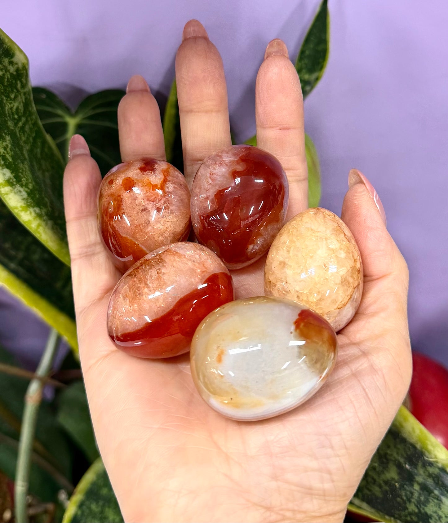 Wholesale Lot 17 pcs Natural Carnelian crystals Egg