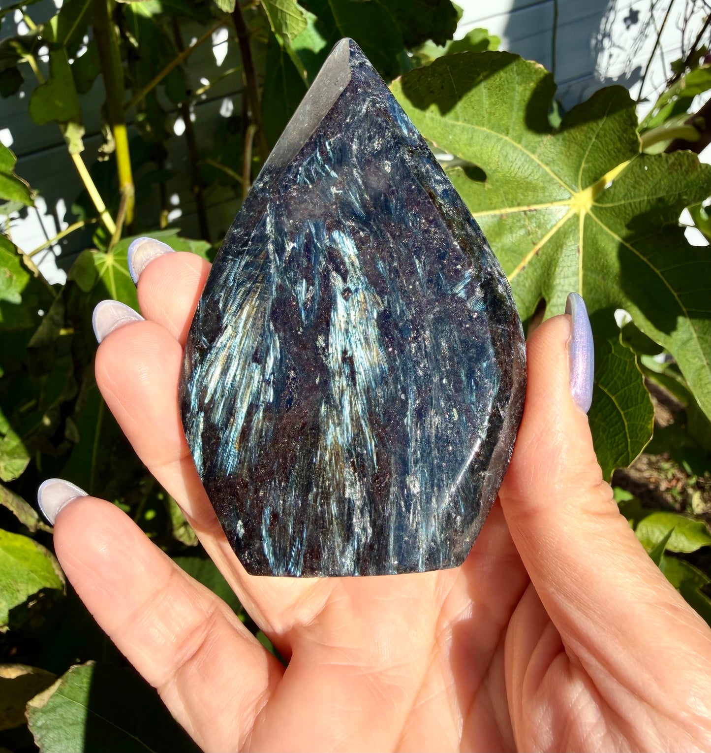 2 lbs Natural Astrophyllite aka Arfvedsonite Freeform Crystal bulk