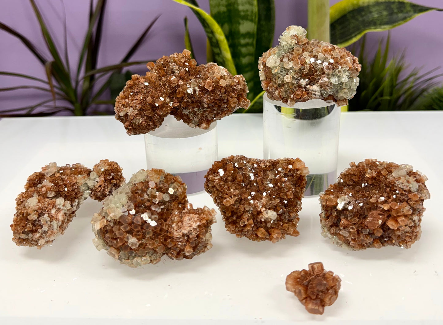 Wholesale Lot 2 lb Natural Aragonite Cluster Raw Crystal