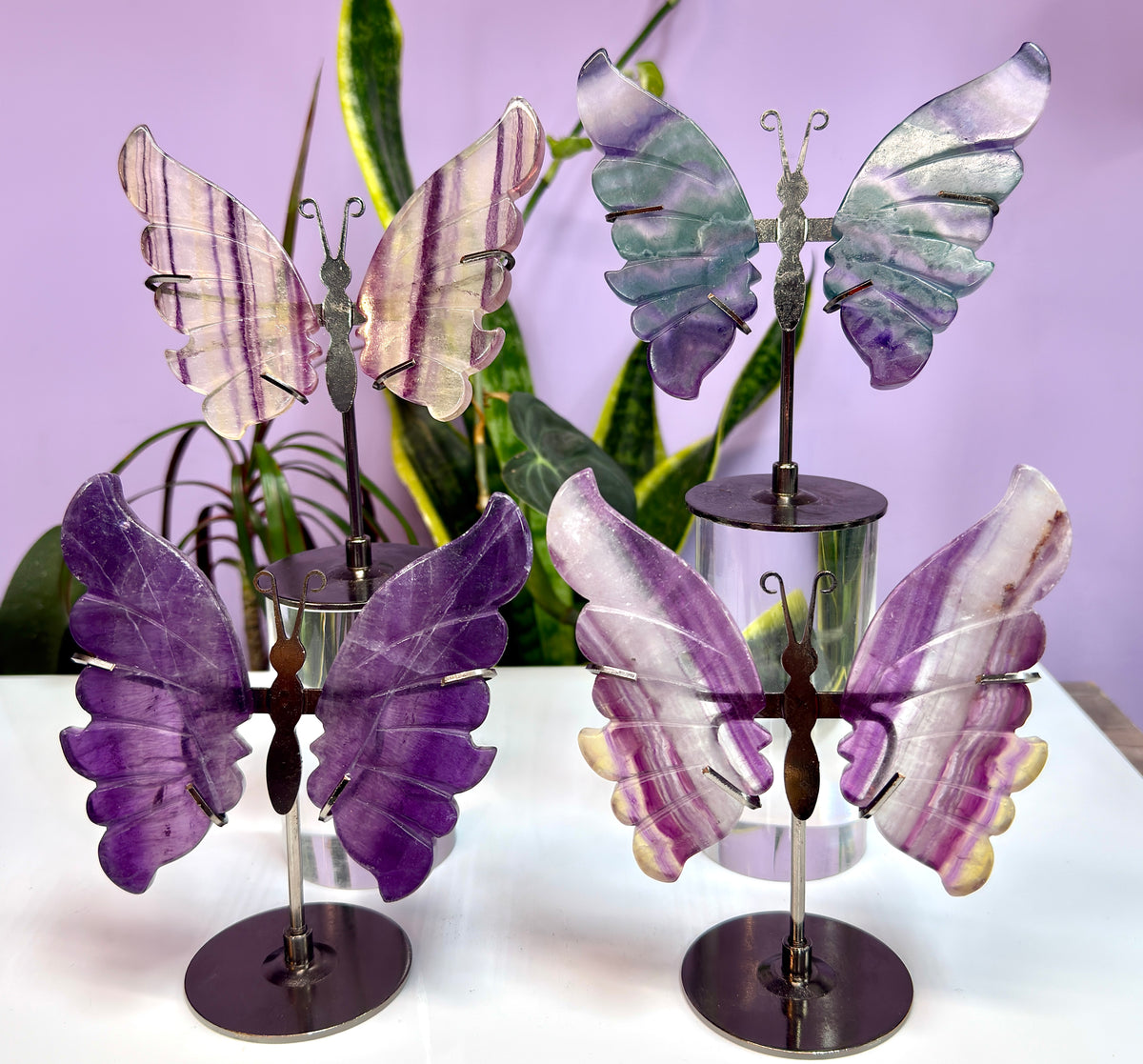 Wholesale Lot 4 PCs Natural Fluorite Crystal Butterfly w/stand Healing Energy