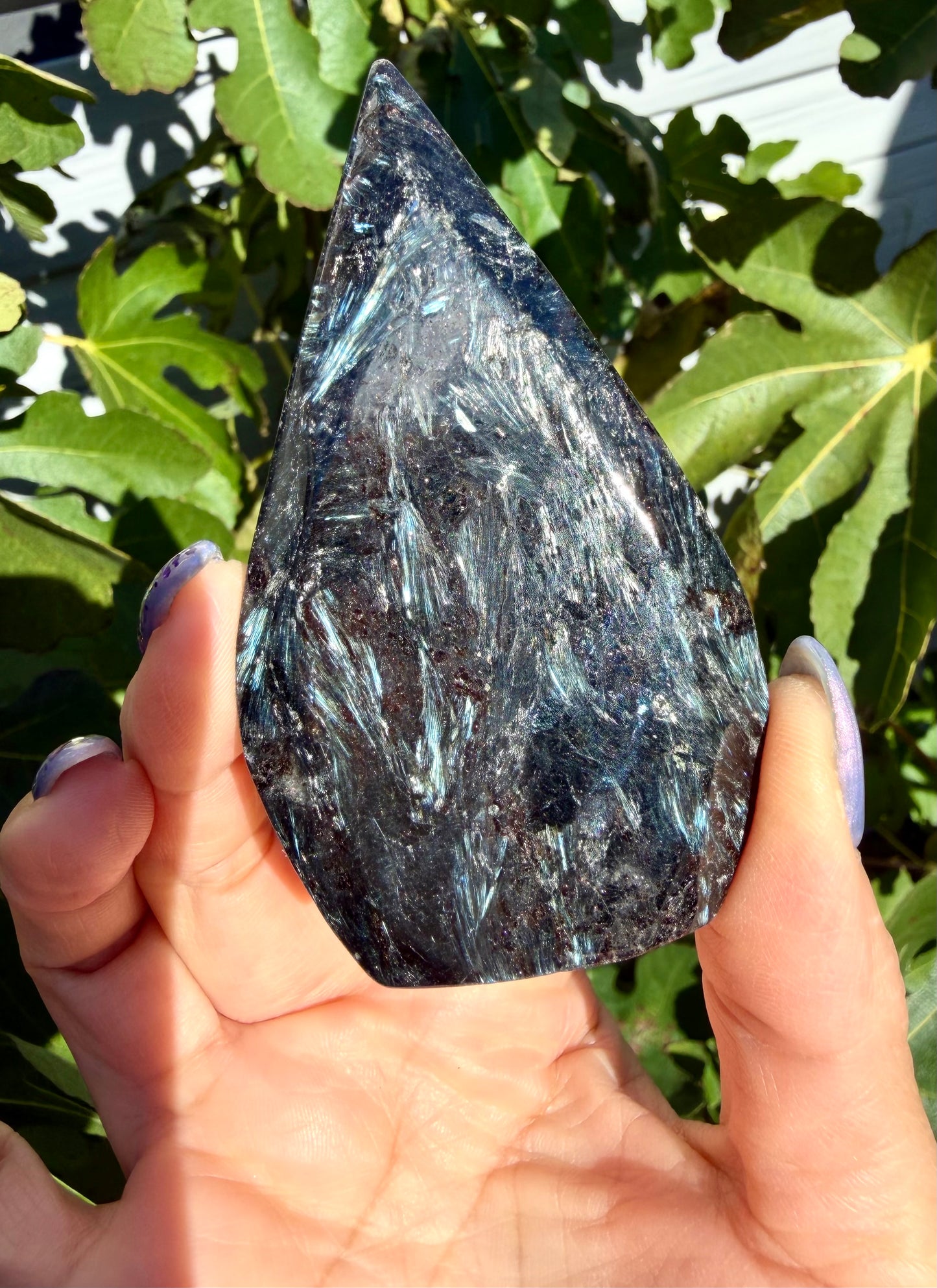 2 lbs Natural Astrophyllite aka Arfvedsonite Freeform Crystal bulk