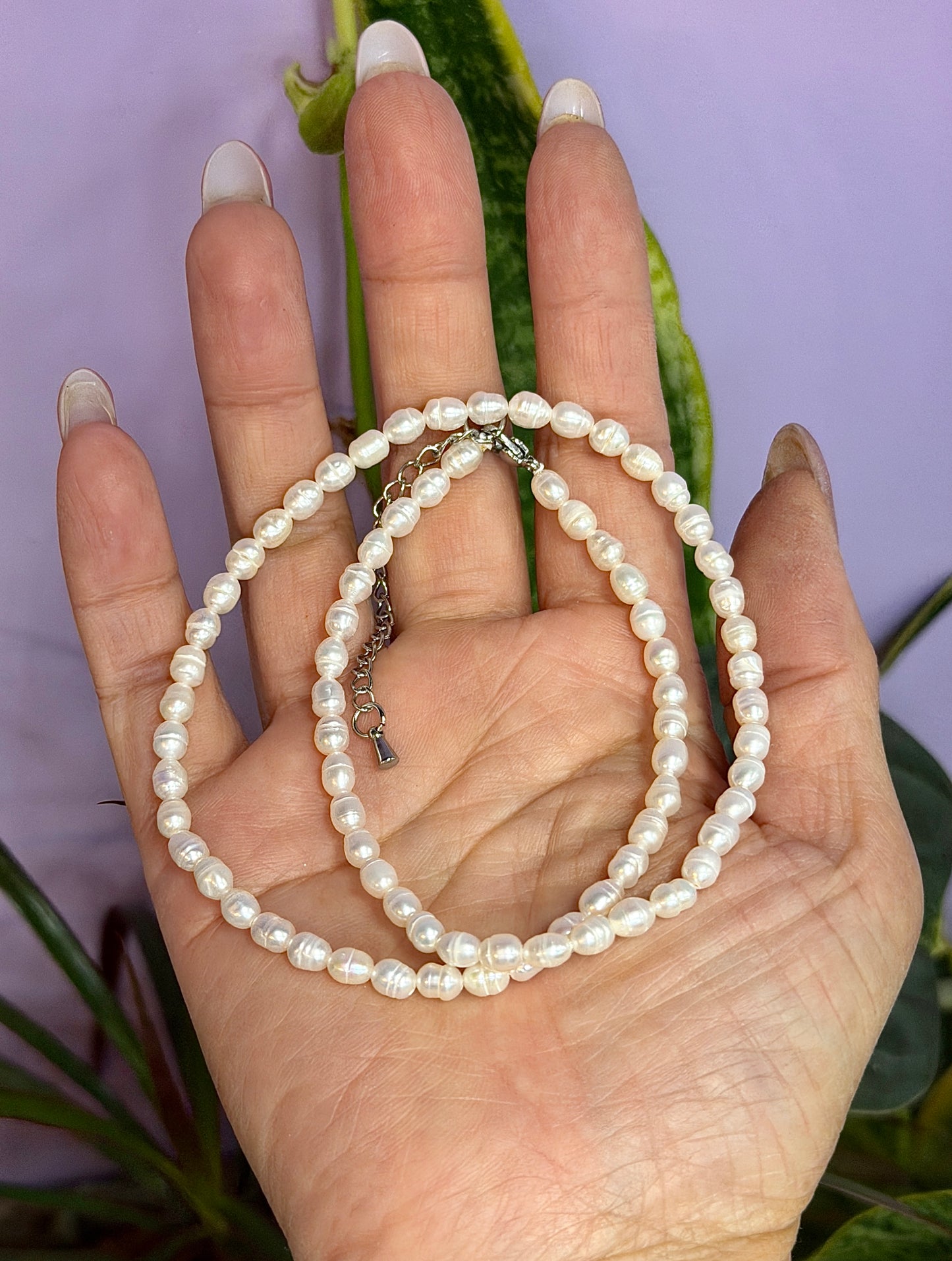 6 PCs 6 pcs ~4.5 Natural Freshwater Pearl Necklace Healing Energy