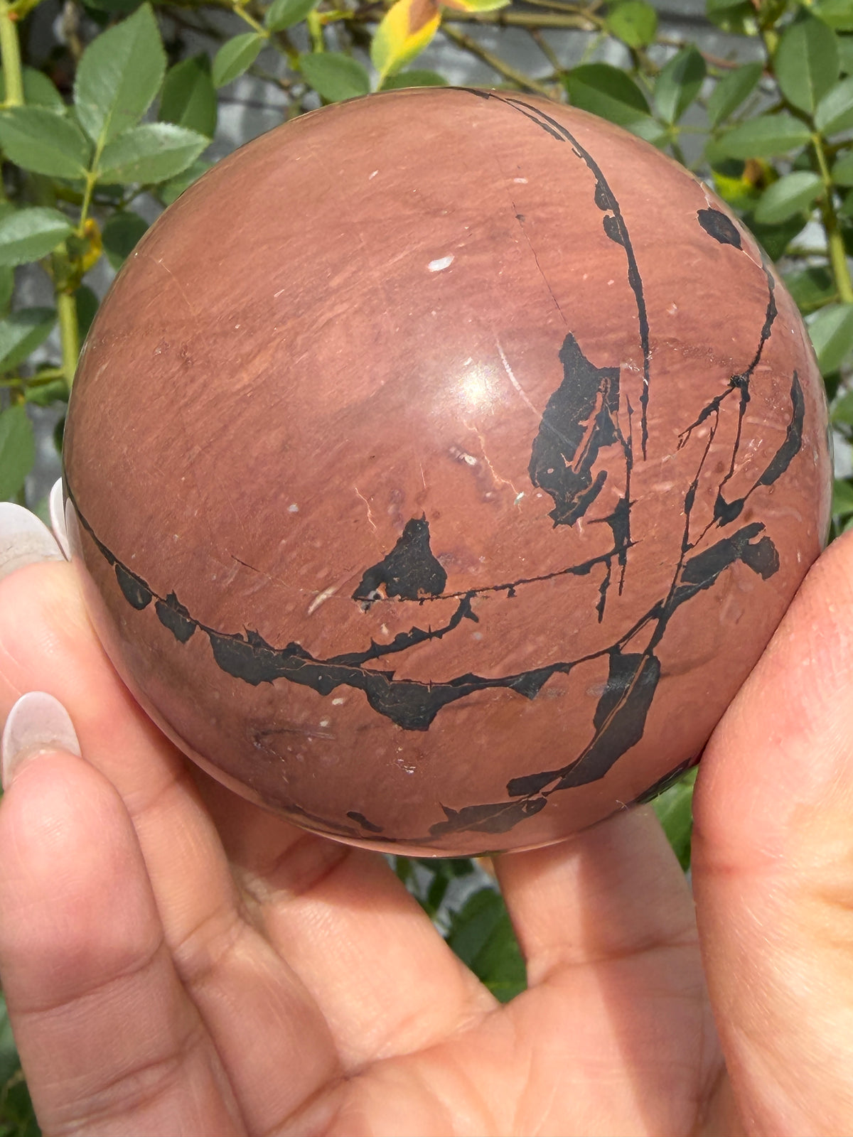 Wholesale Lot 3 Pcs Natural Picture Jasper Sphere Crystal Healing
