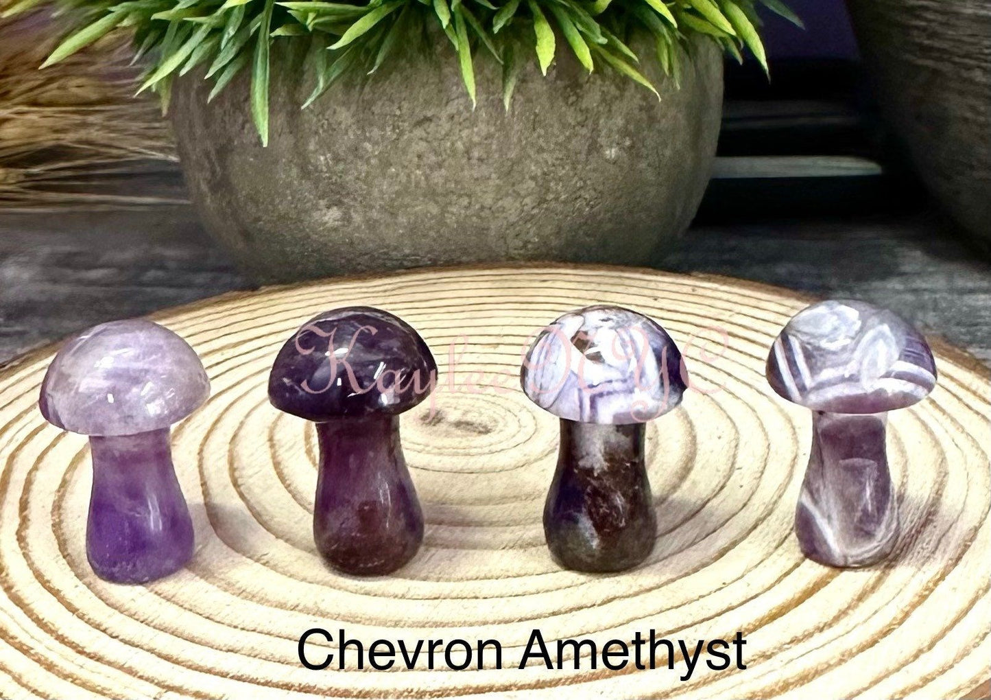 Wholesale Lot 16 PCs Mixed 1” Crystal Mushroom Healing Energy