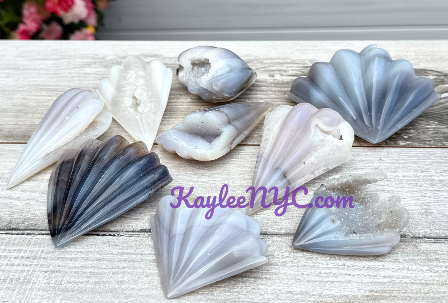 6-9 PCs Natural Druzy Agate Shell Crystals Healing Energy