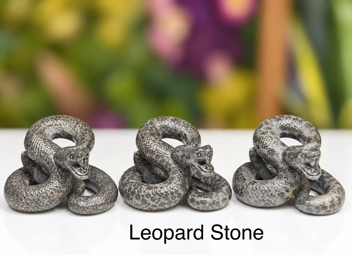 Wholesale Lot 4 Pcs Natural Money Stone and Leopard Stone Snakes Healing Energy