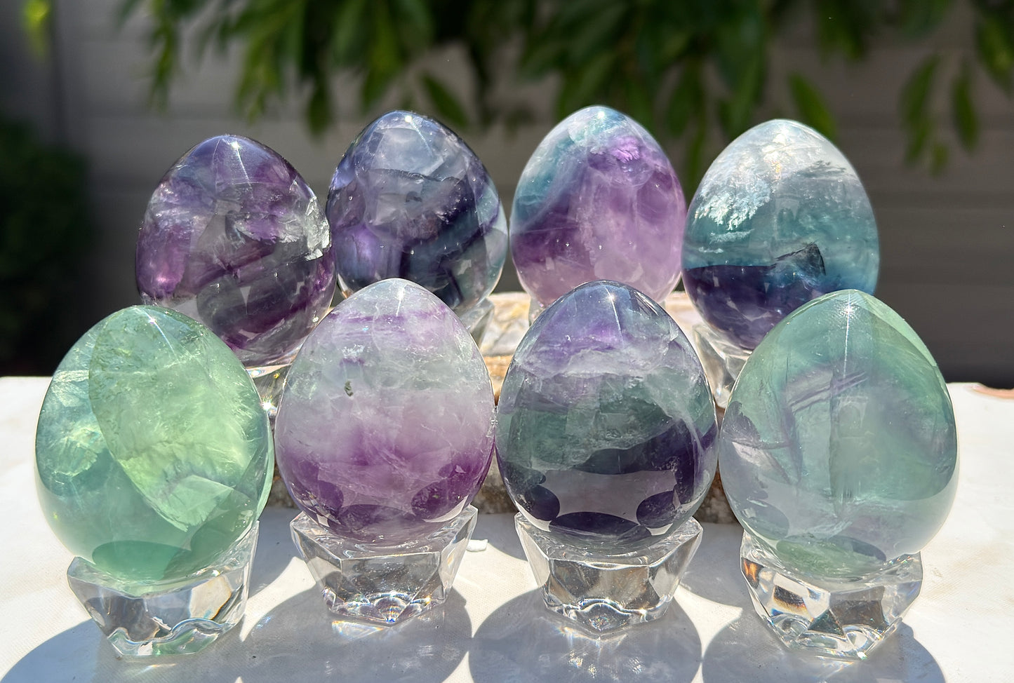 Wholesale Lot 8 pcs Natural Fluorite Egg crystals Healing Enery