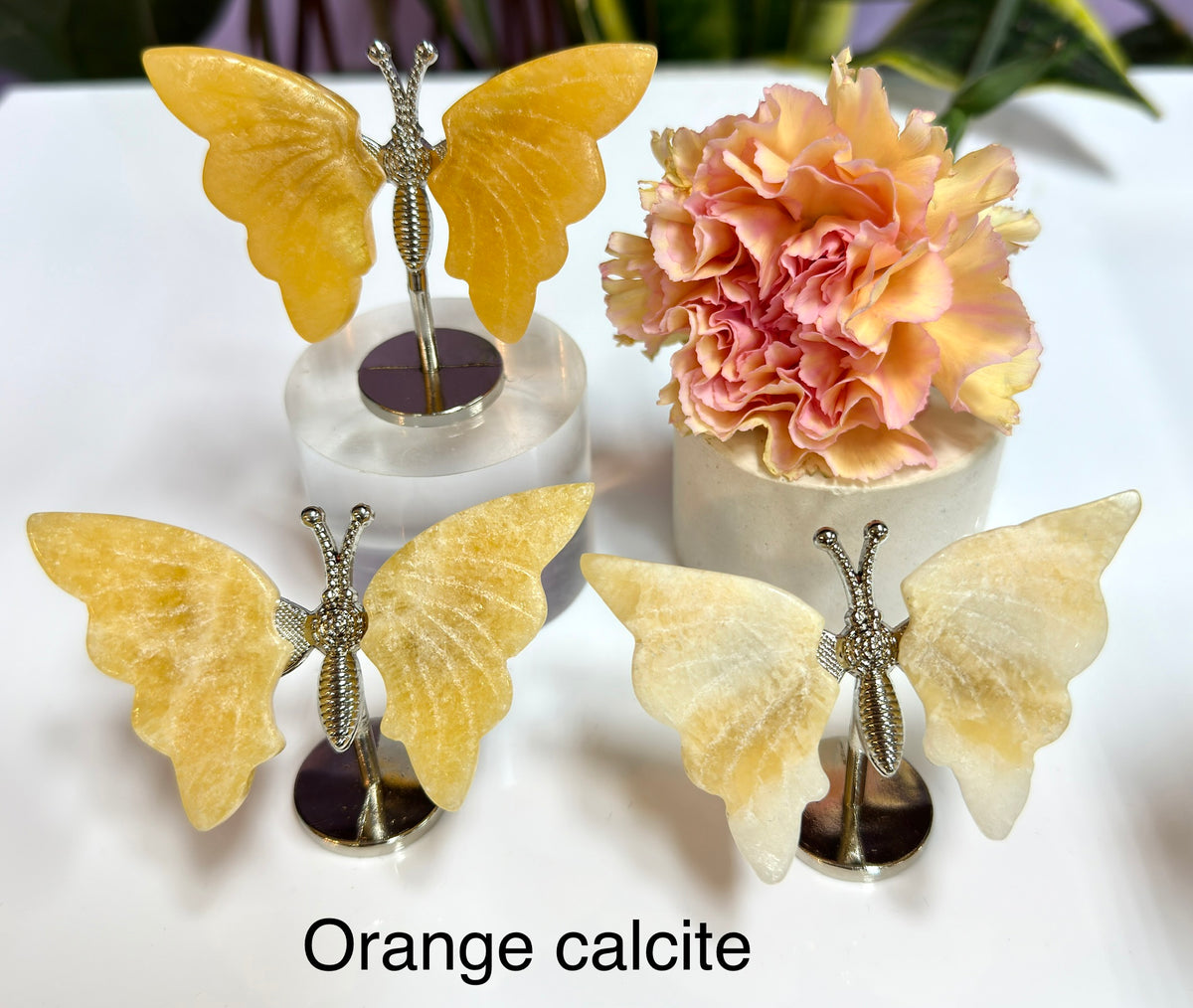 Wholesale Lot 12 PCs Mixed Natural Crystal Butterfly w/stand Healing Energy