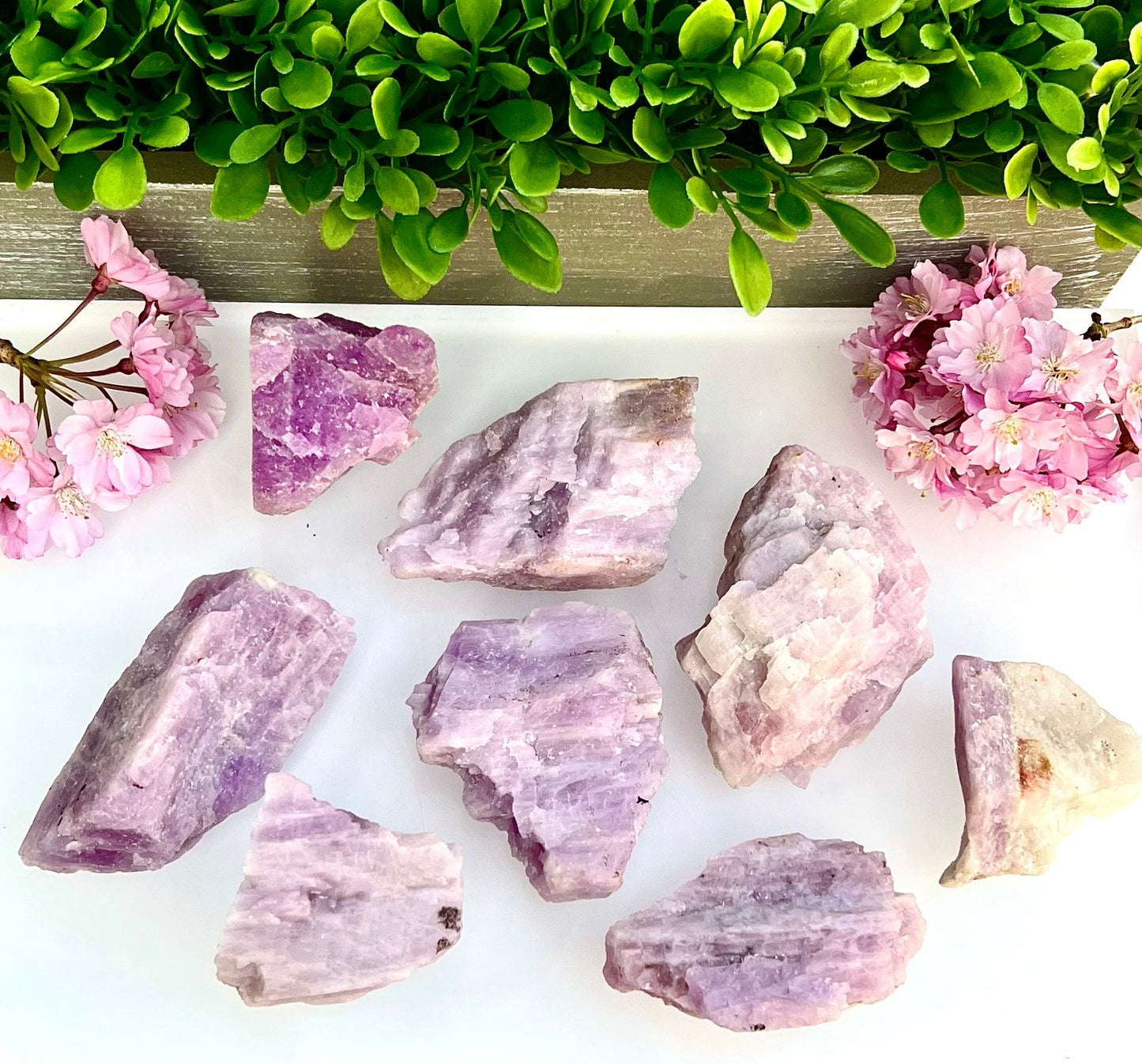 Wholesale Lot 2 lb Natural Kunzite Crystal Raw Nice Quality