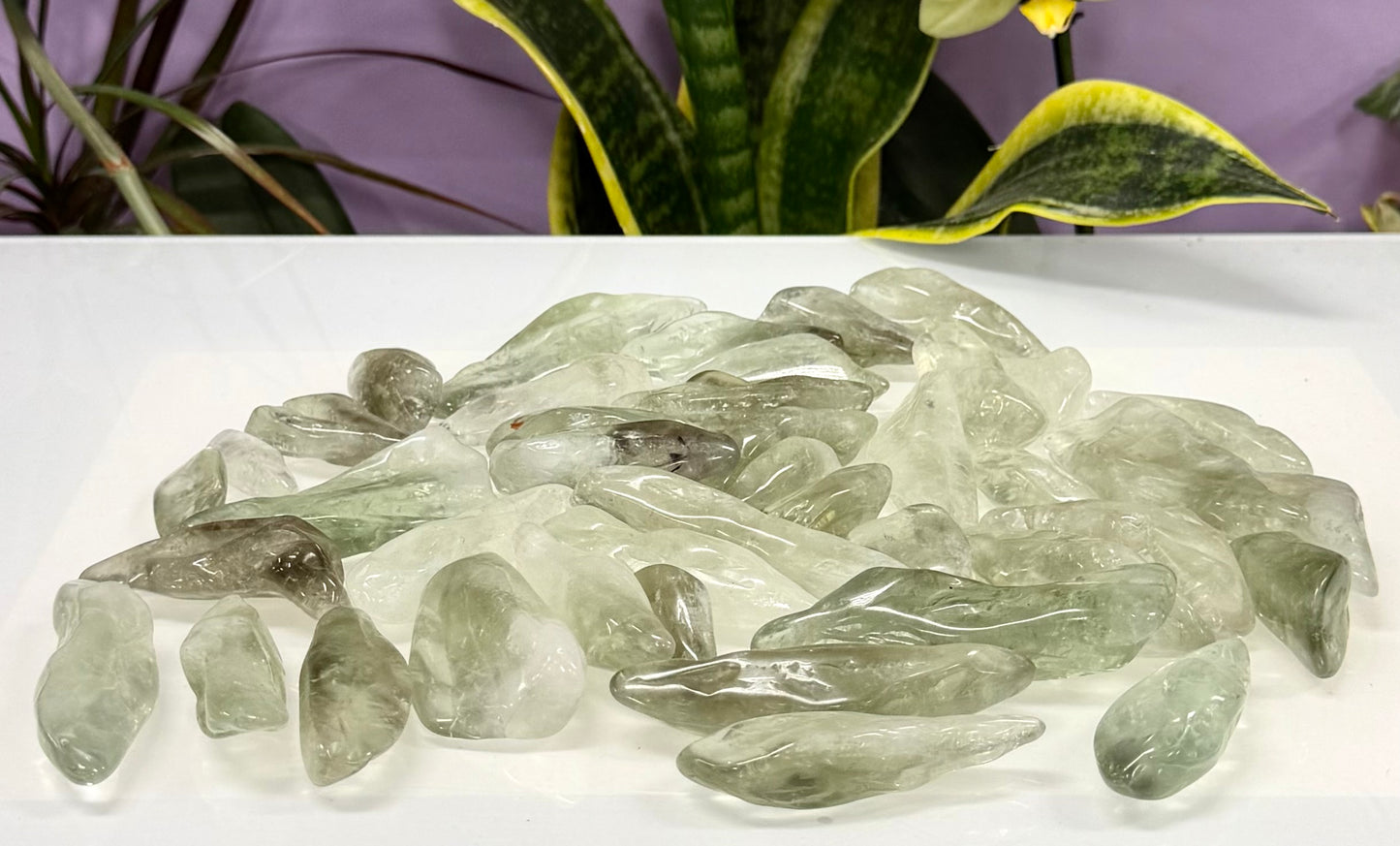 Wholesale Lot 2 lbs Prasiolite Green Amethyst Tumble Healing Energy