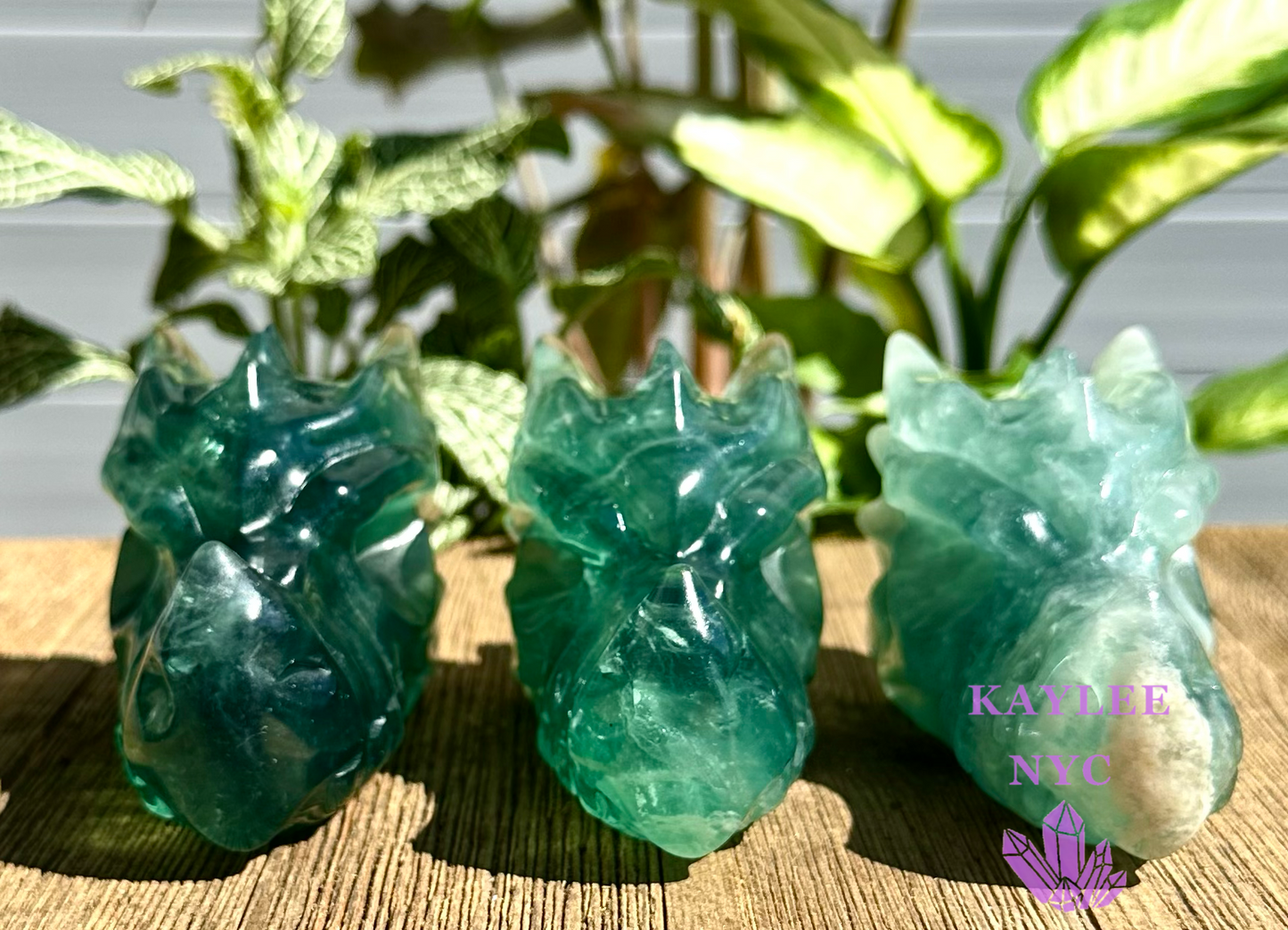 3 PCs Natural Fluorite Dragon Head