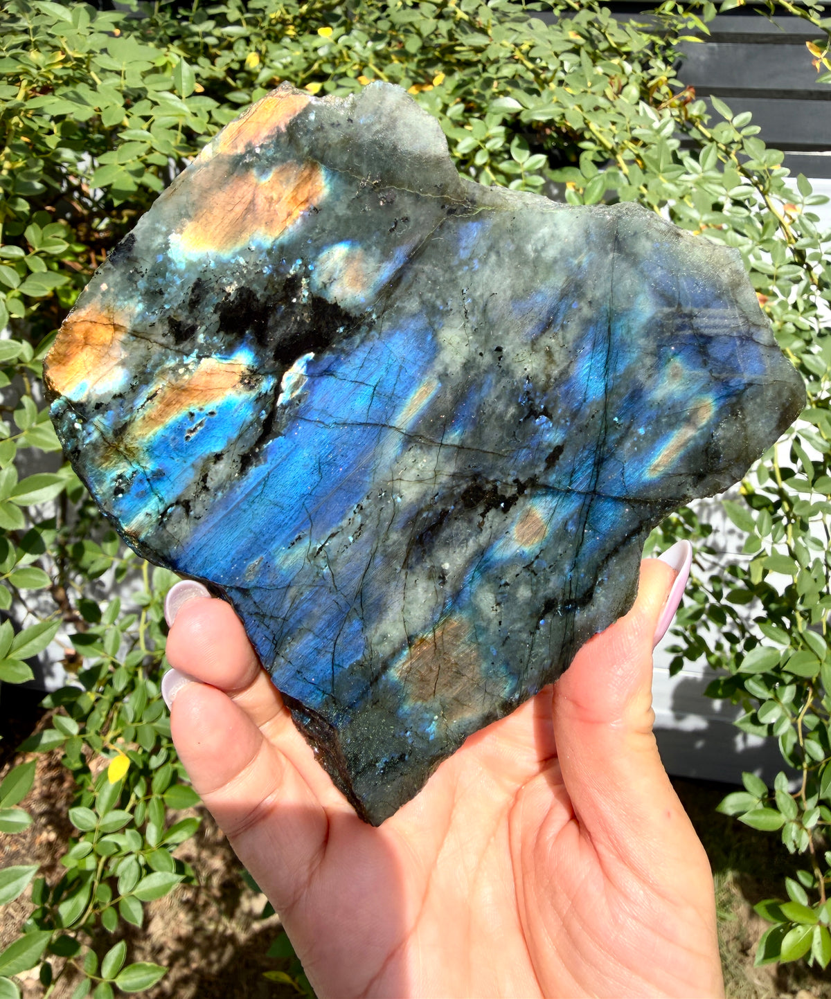 Wholesale Lot 4-5 pcs Natural Labradorite Slab Crystal Healing Energy